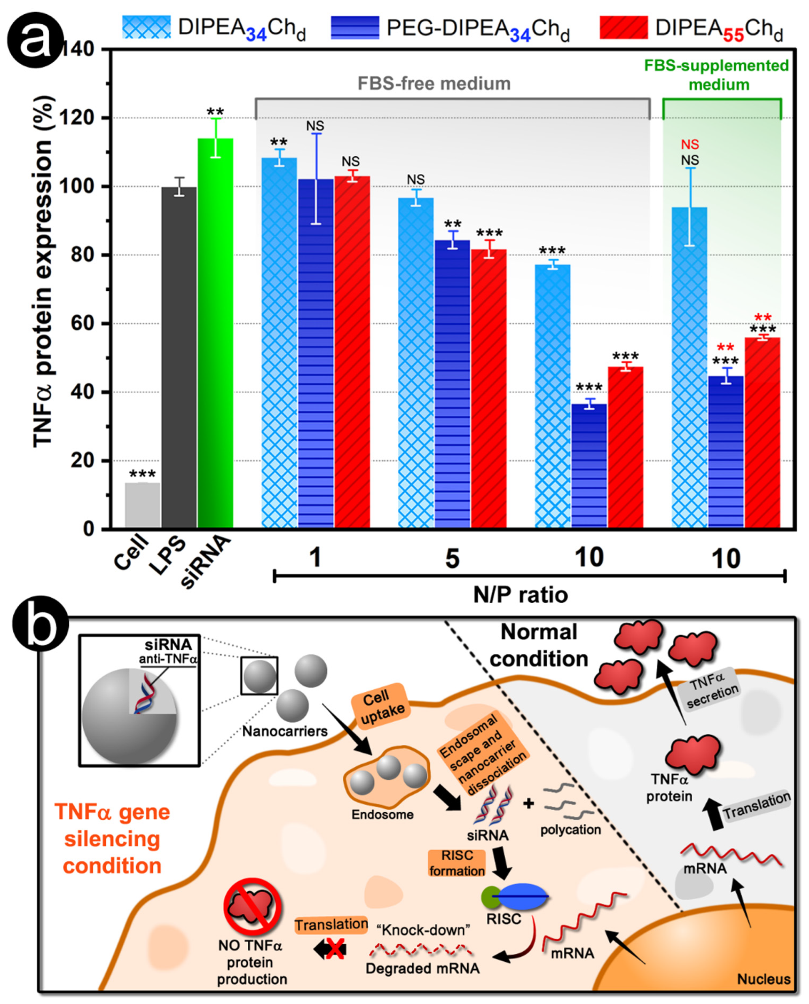 Marinedrugs 20 00476 g010