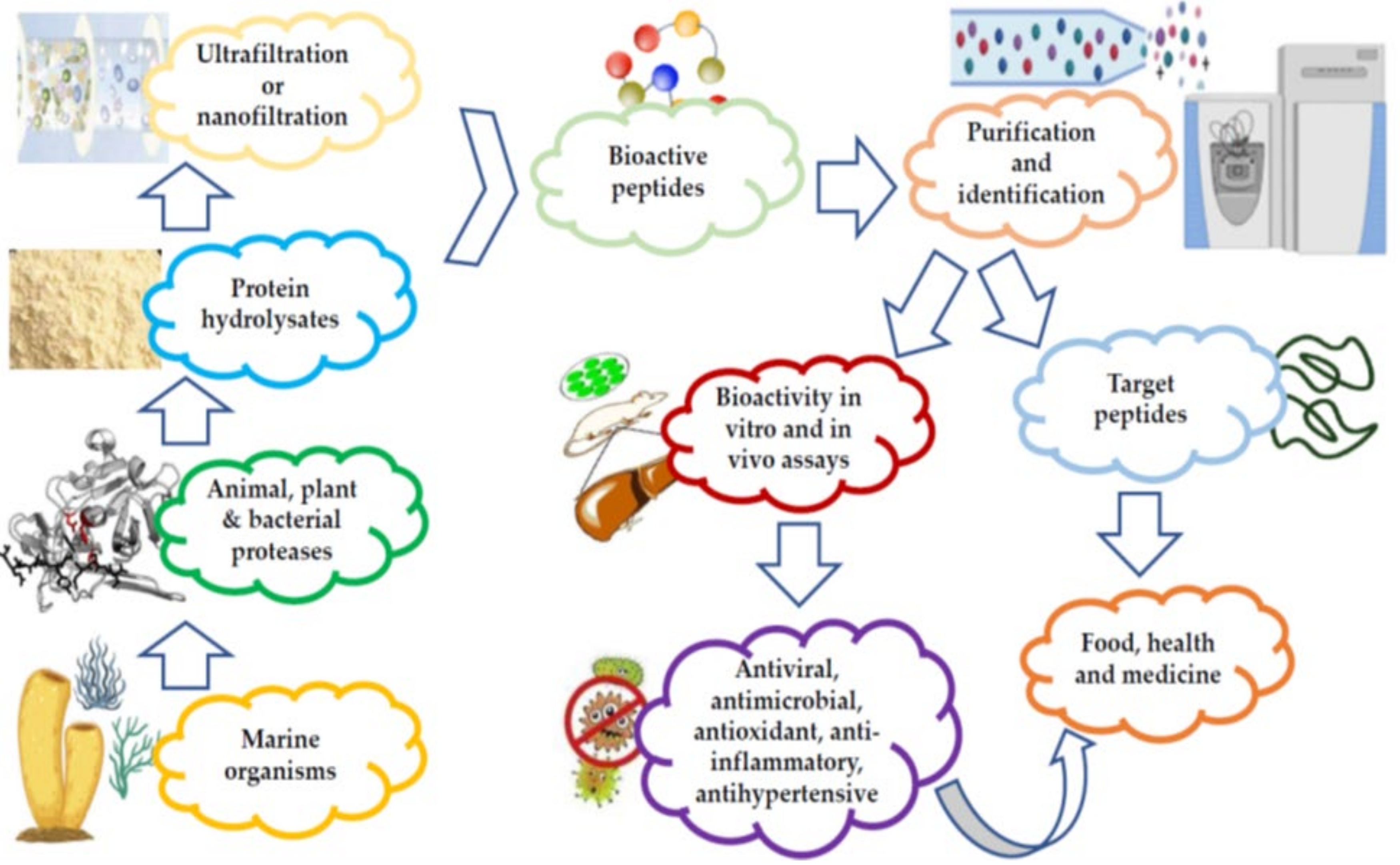 Marinedrugs 20 00477 g002