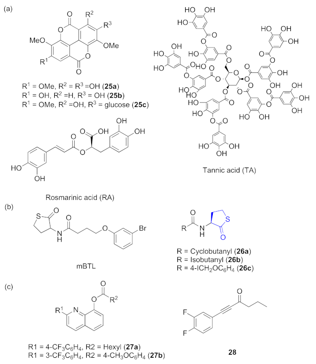 Marinedrugs 20 00488 g008
