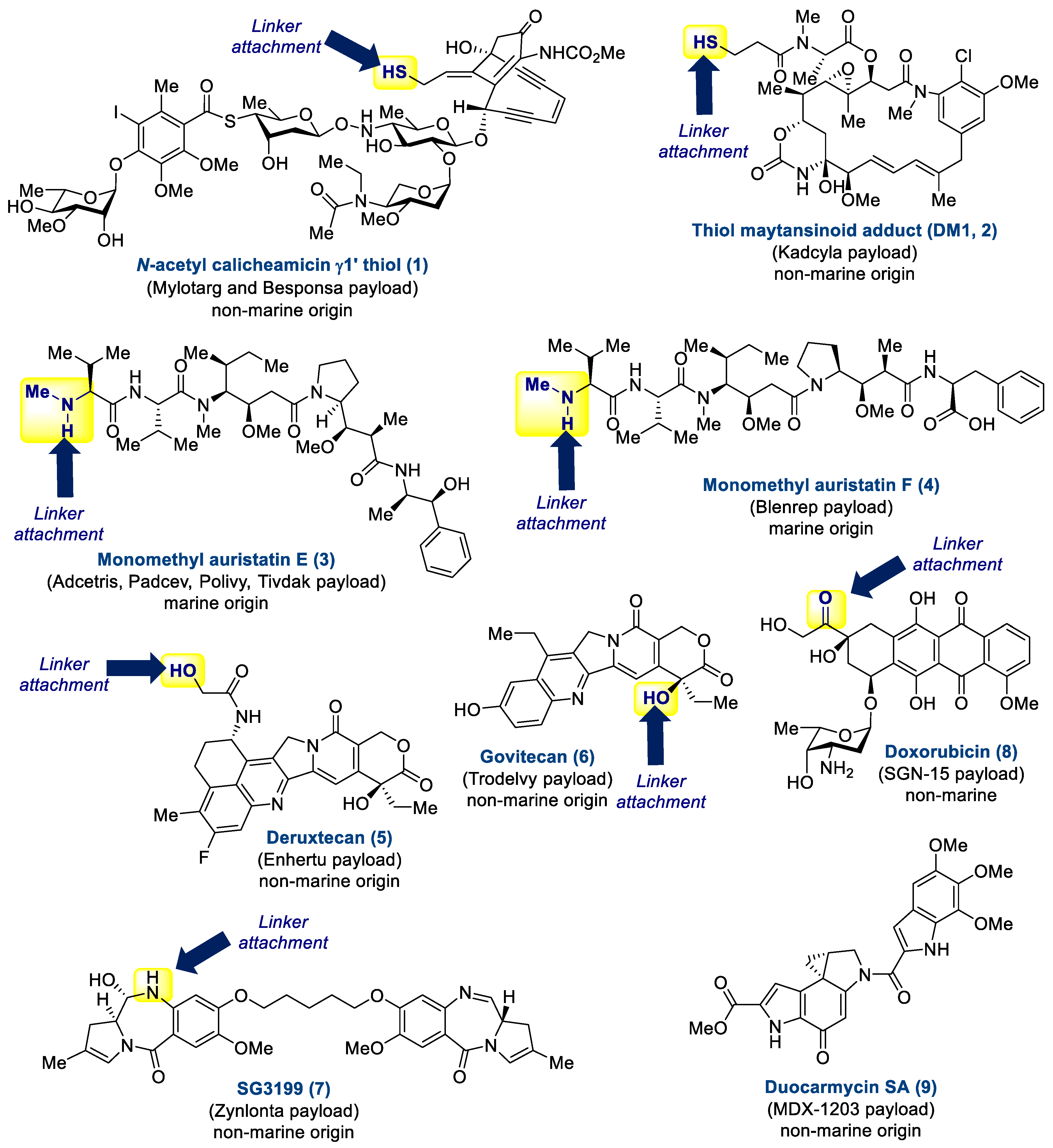 Marinedrugs 20 00494 g004