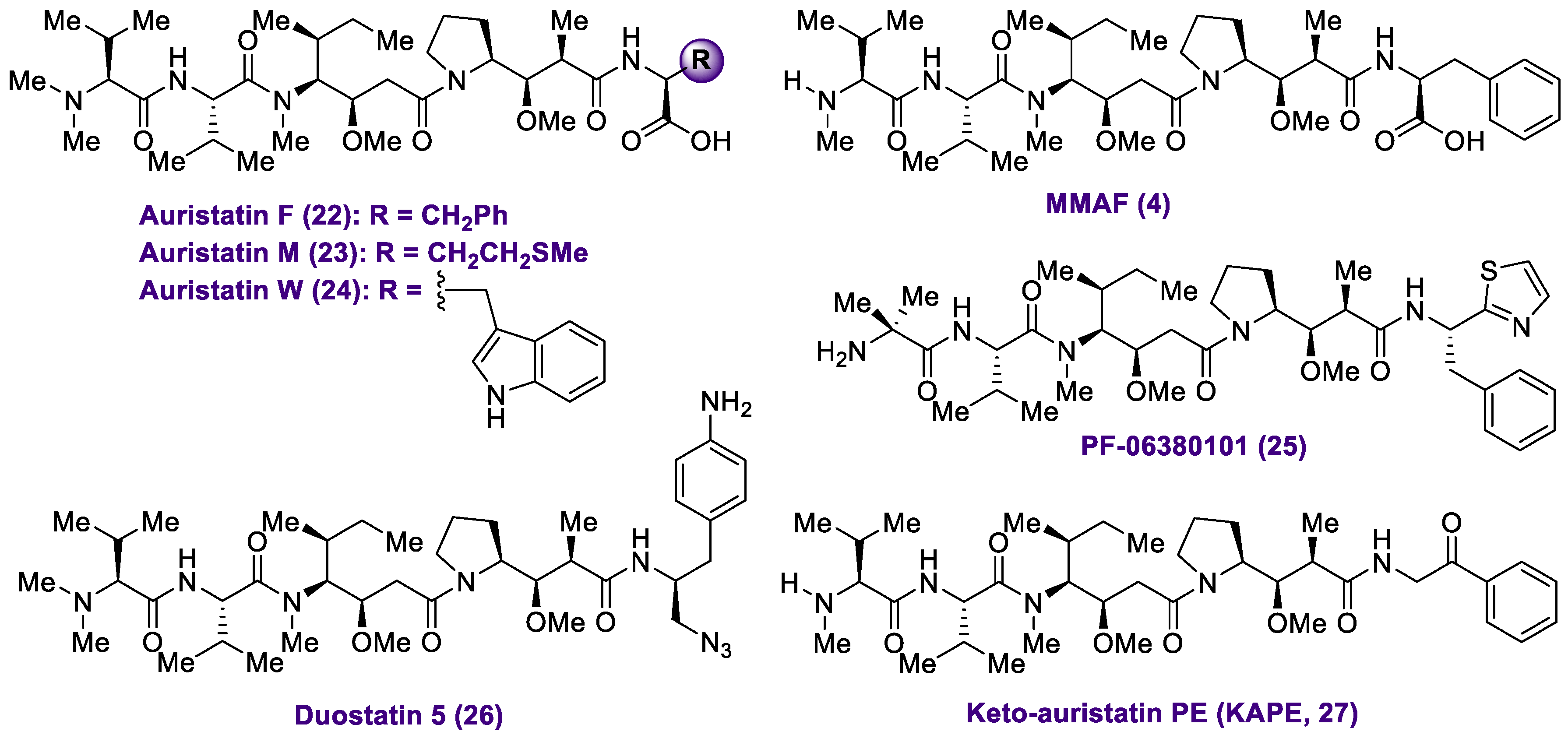 Marinedrugs 20 00494 g006