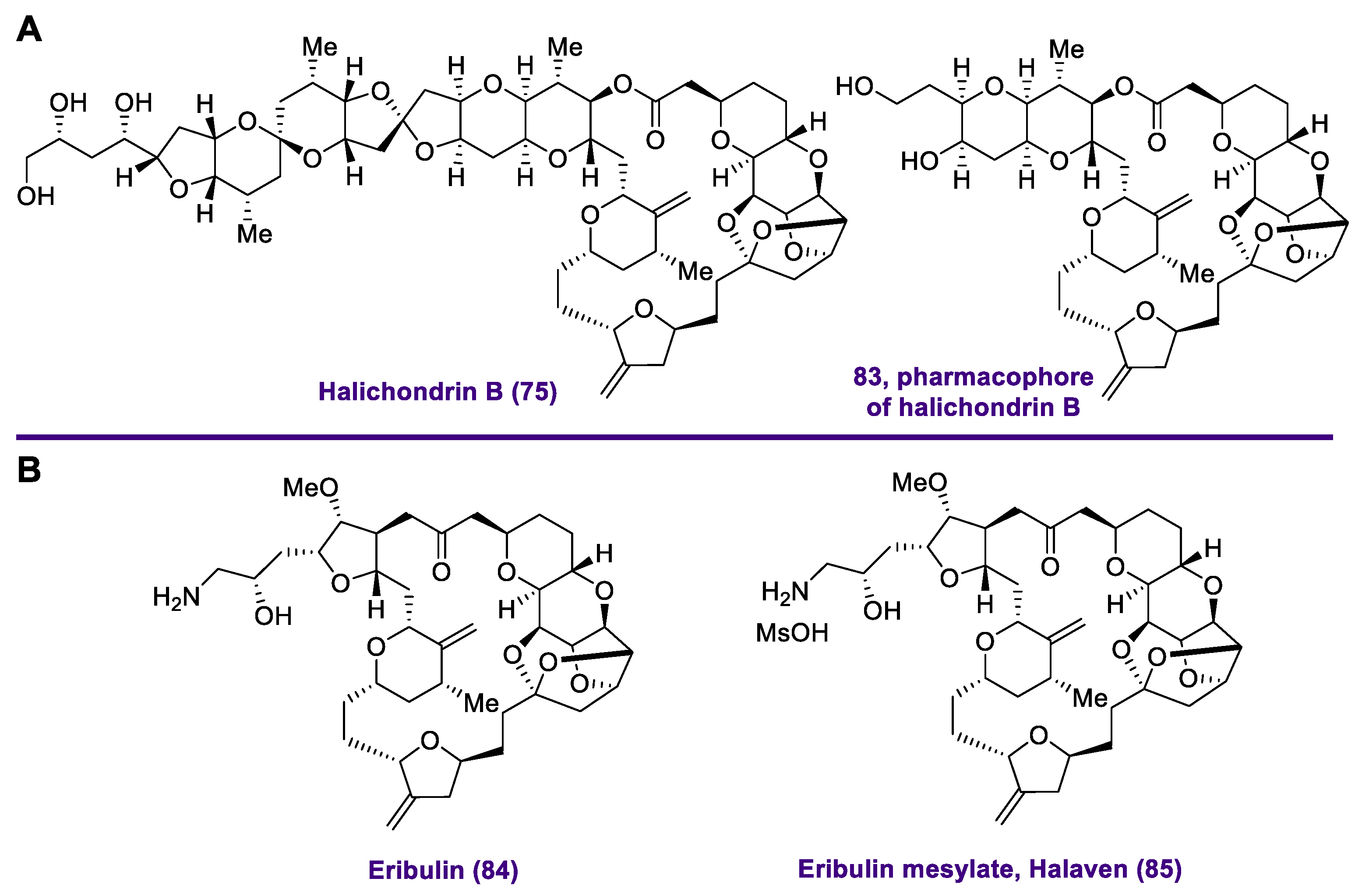 Marinedrugs 20 00494 g011