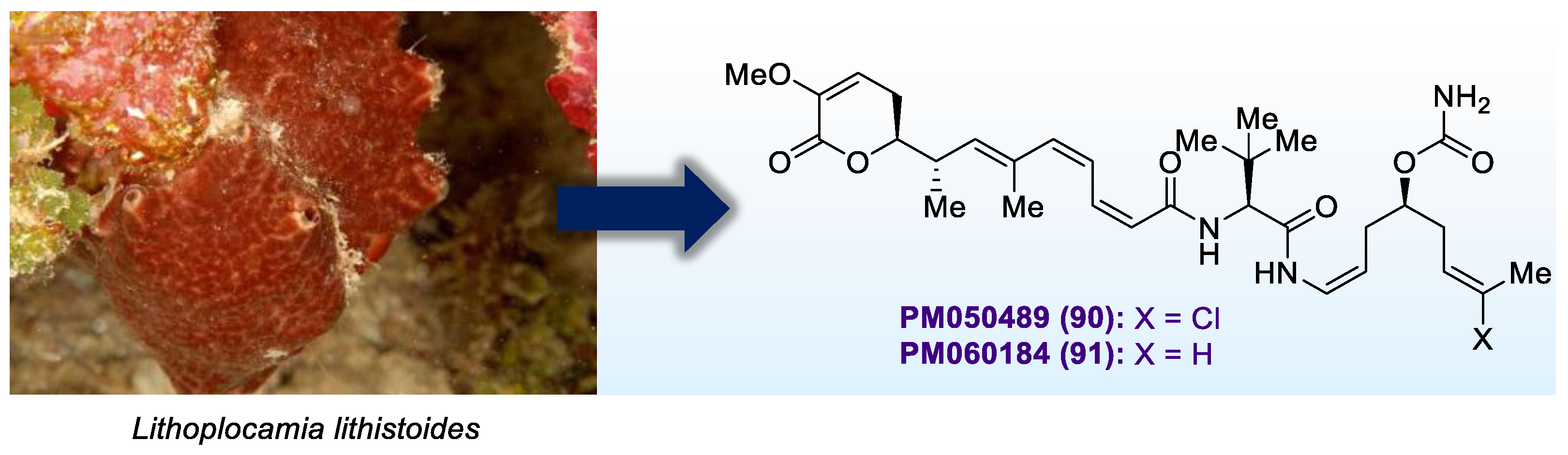 Marinedrugs 20 00494 g012