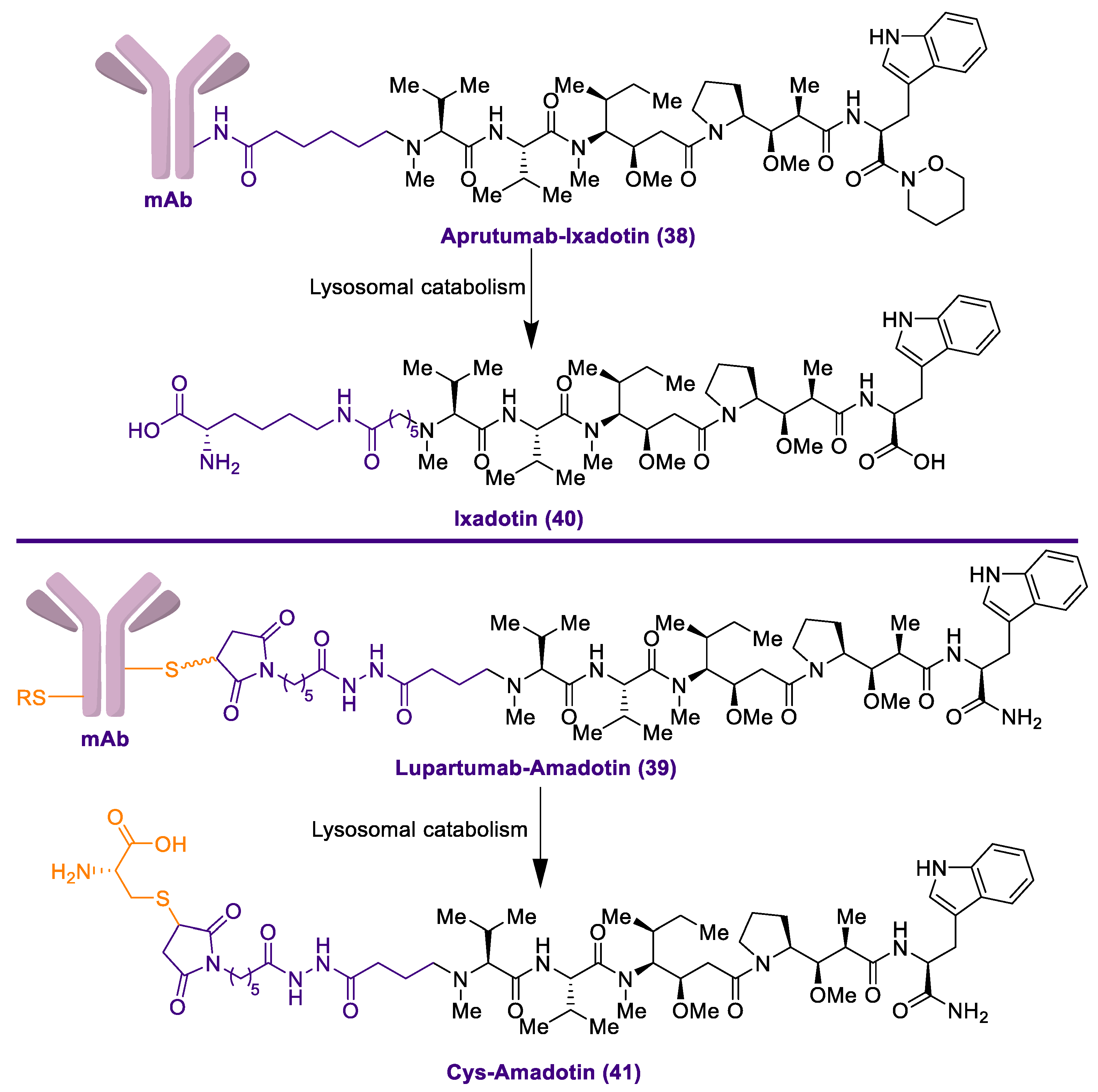 Marinedrugs 20 00494 sch002