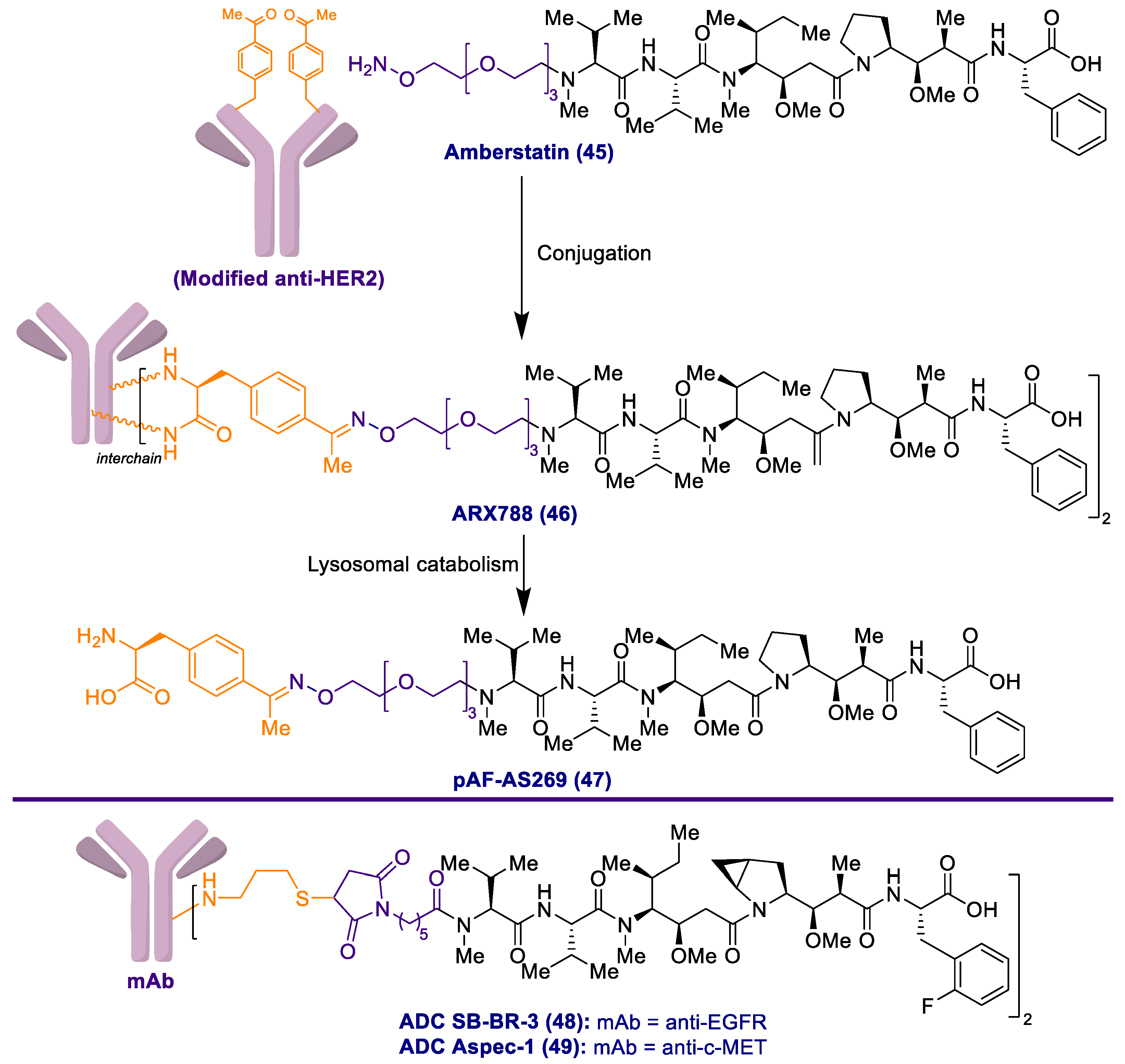 Marinedrugs 20 00494 sch004