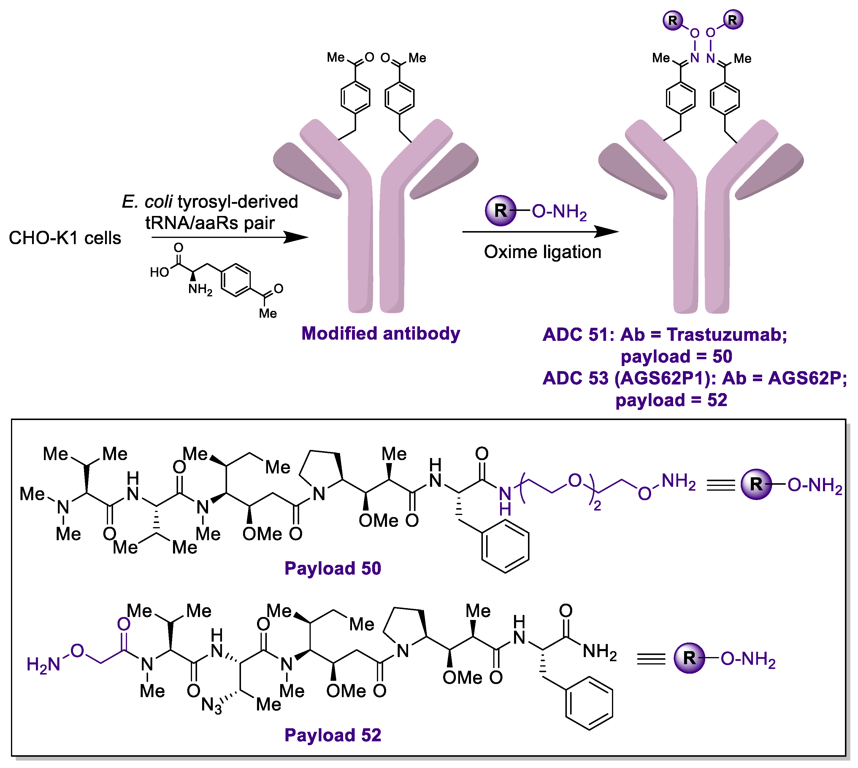 Marinedrugs 20 00494 sch005