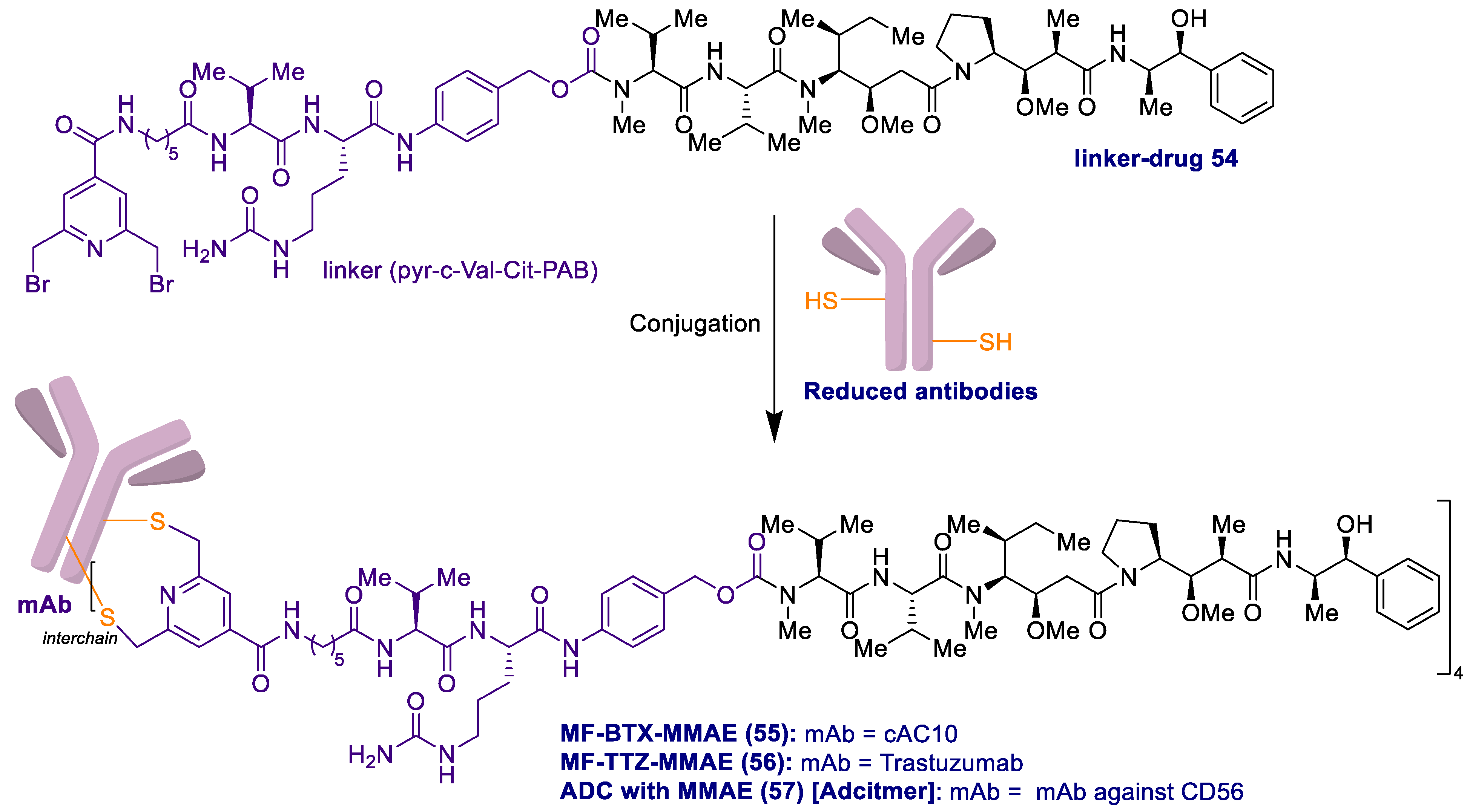 Marinedrugs 20 00494 sch006