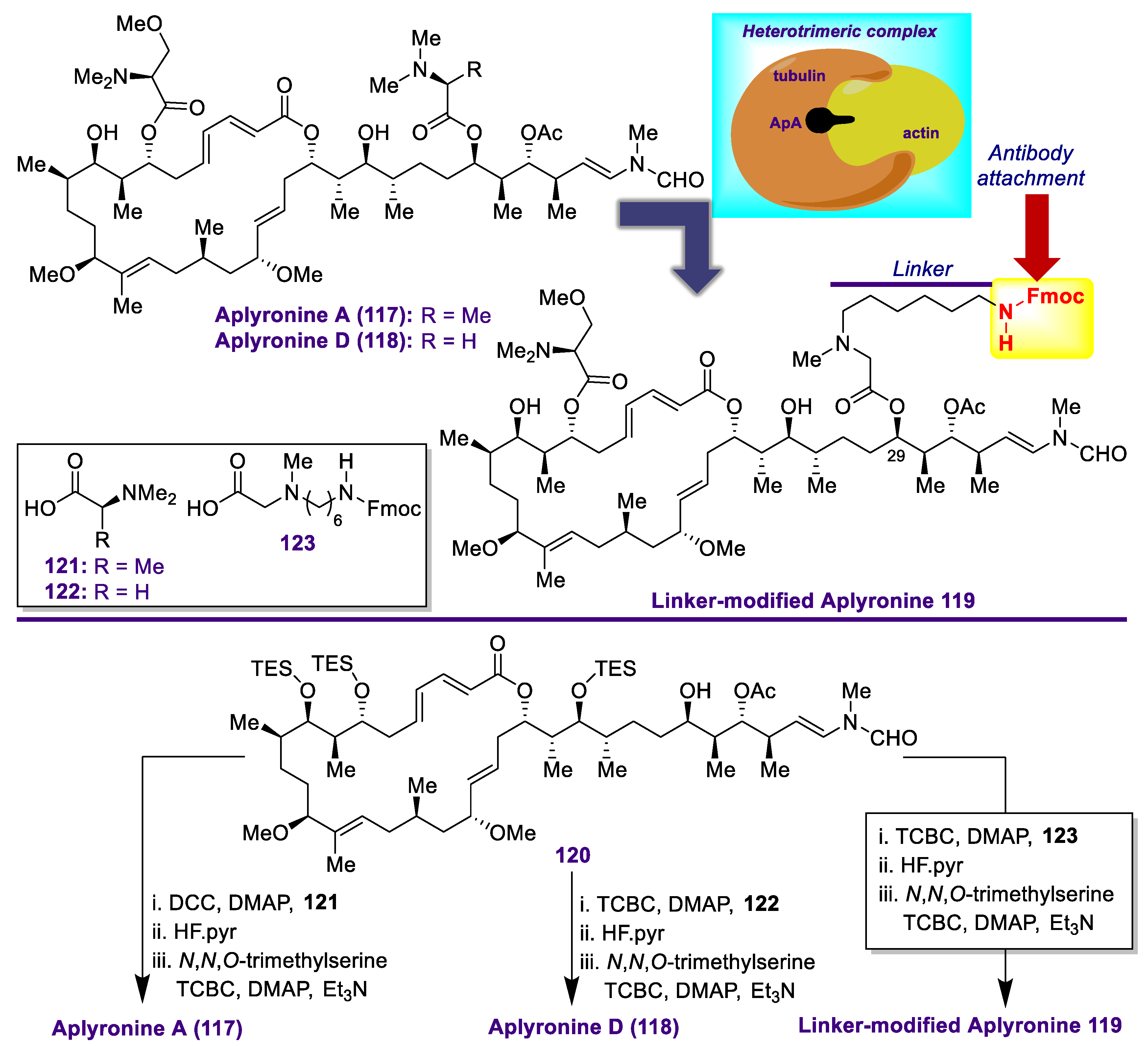 Marinedrugs 20 00494 sch011