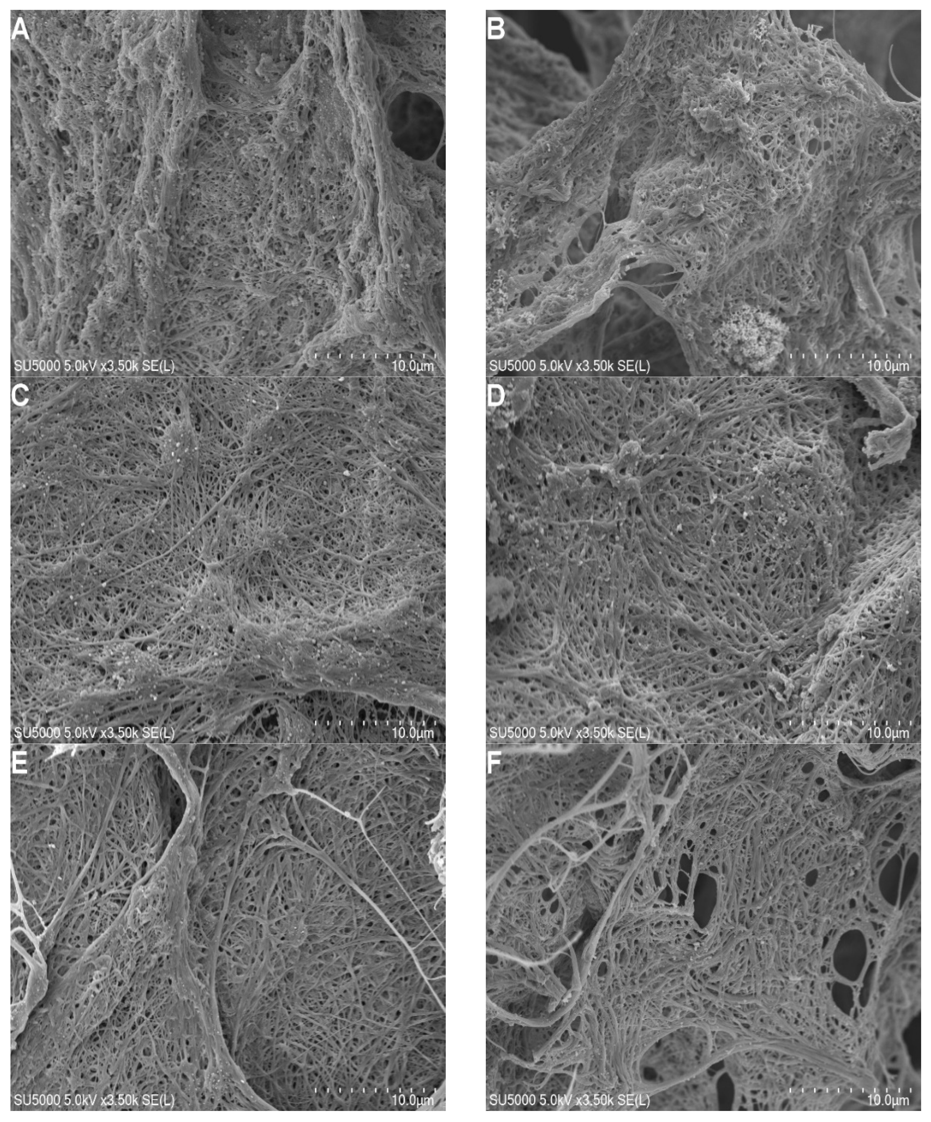 Marinedrugs 20 00495 g004a