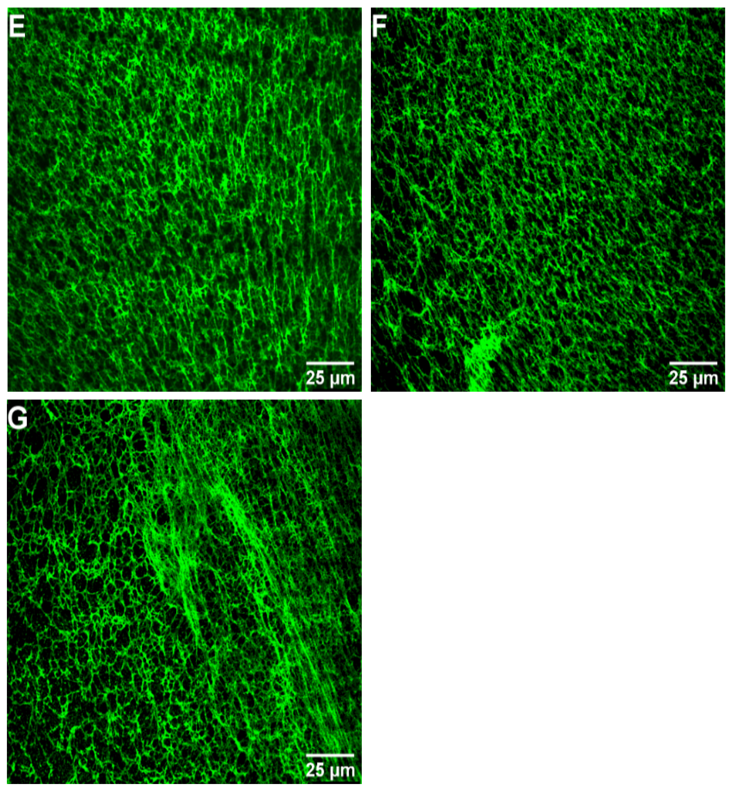Marinedrugs 20 00495 g006b
