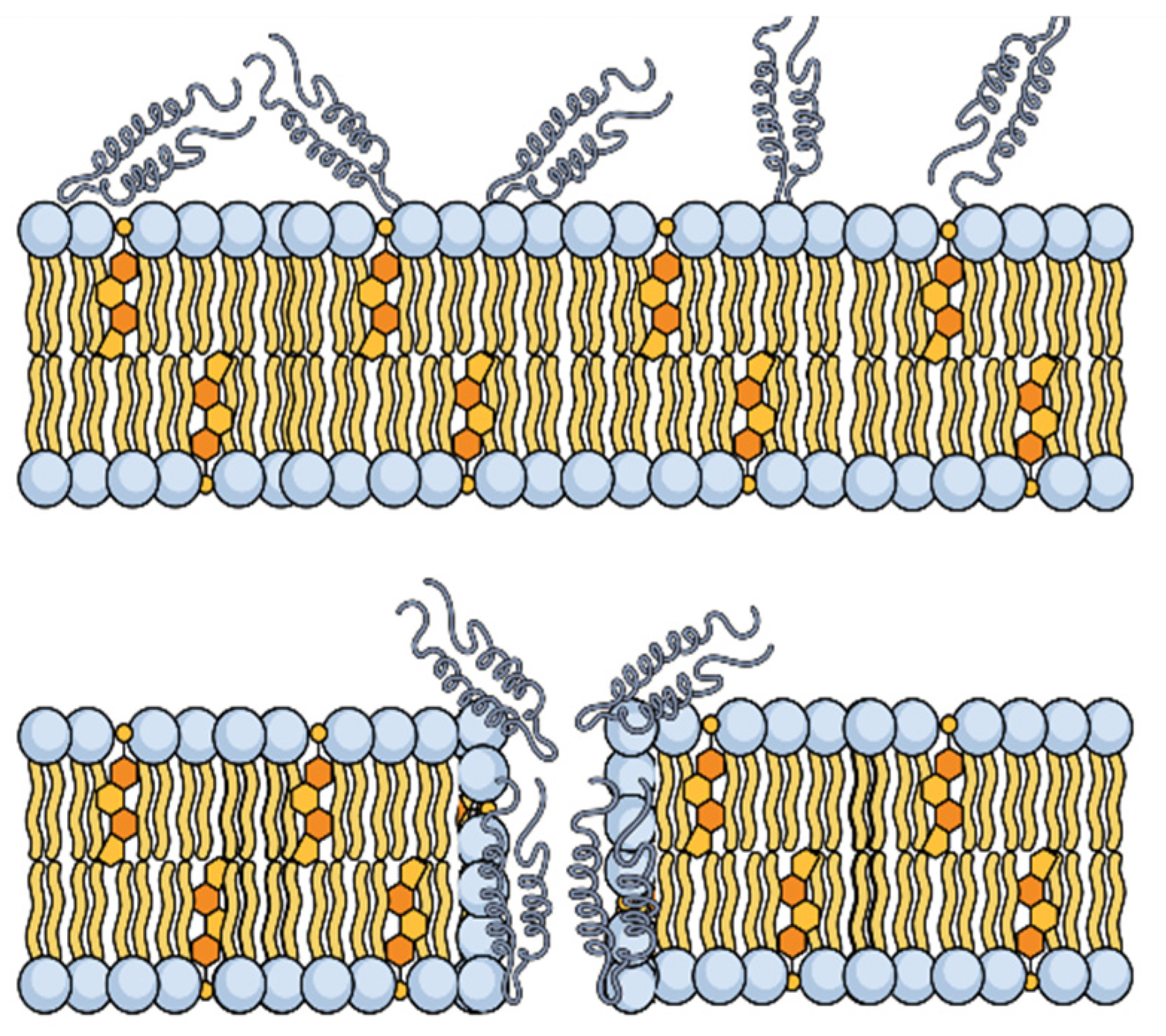 Marinedrugs 20 00501 g010