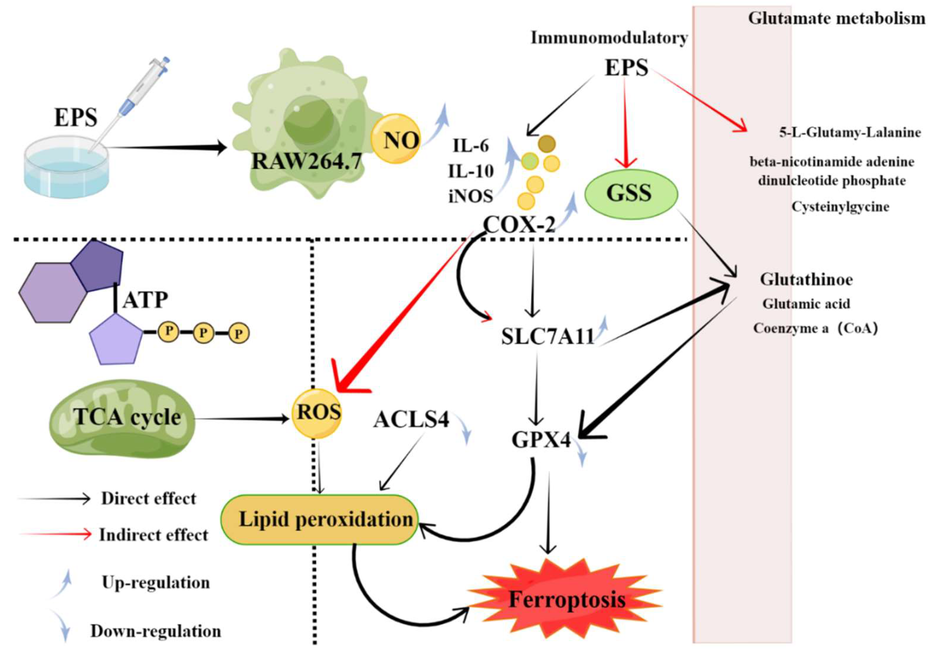 Marinedrugs 20 00512 g003
