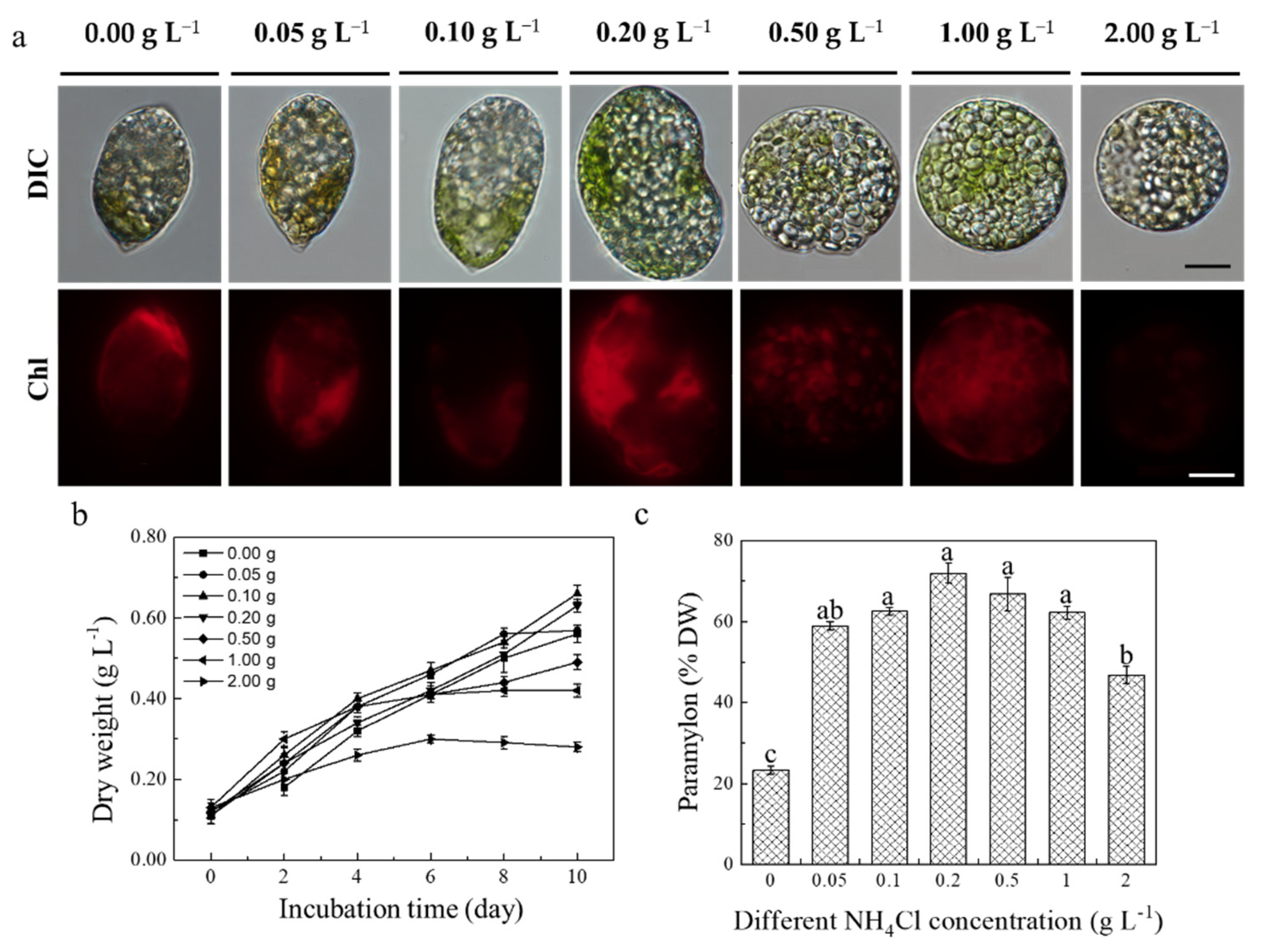 Marinedrugs 20 00518 g004