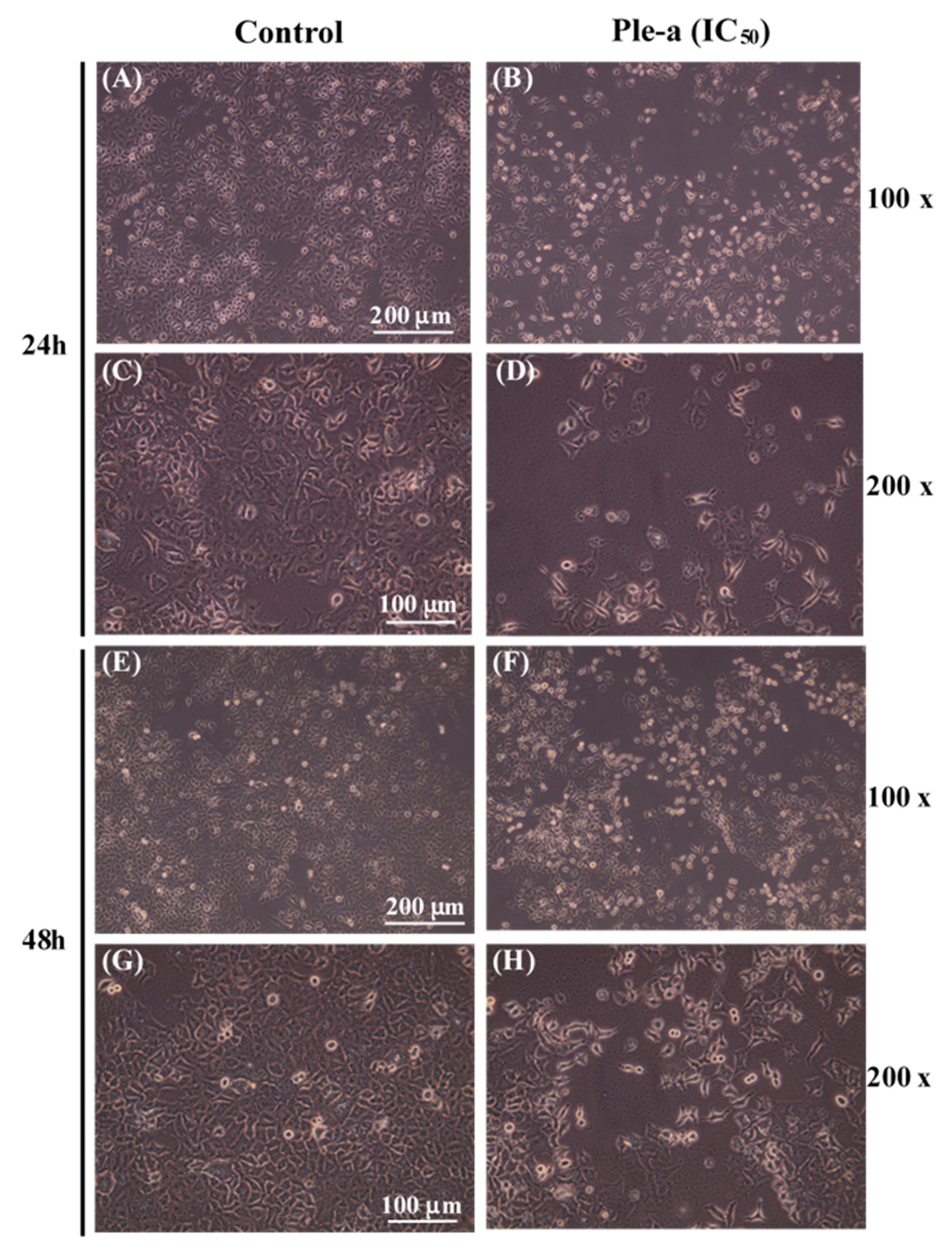 Marinedrugs 20 00519 g002