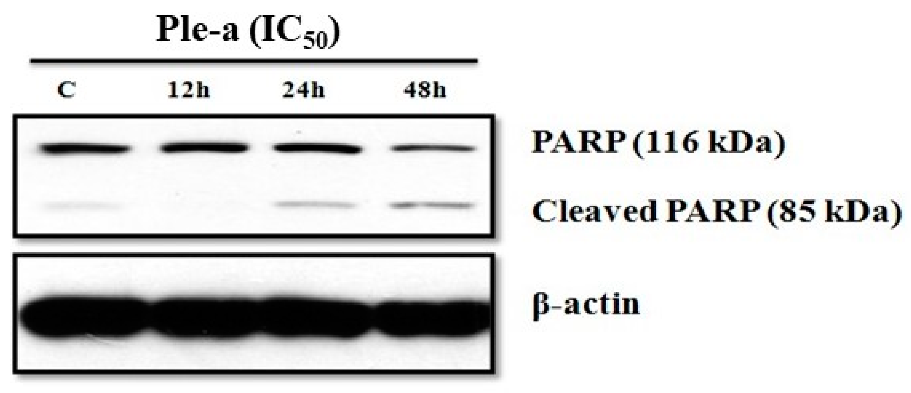 Marinedrugs 20 00519 g004