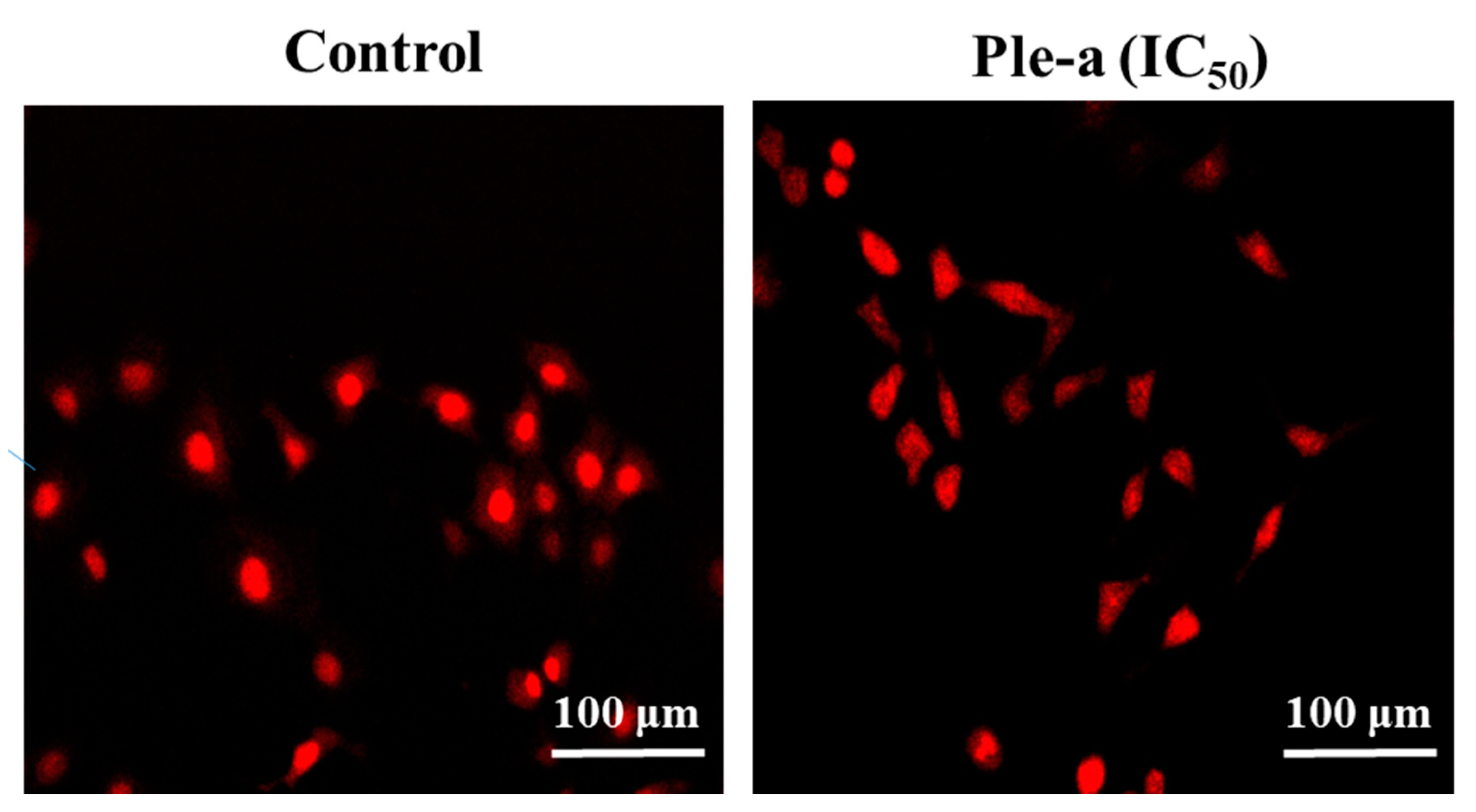 Marinedrugs 20 00519 g005