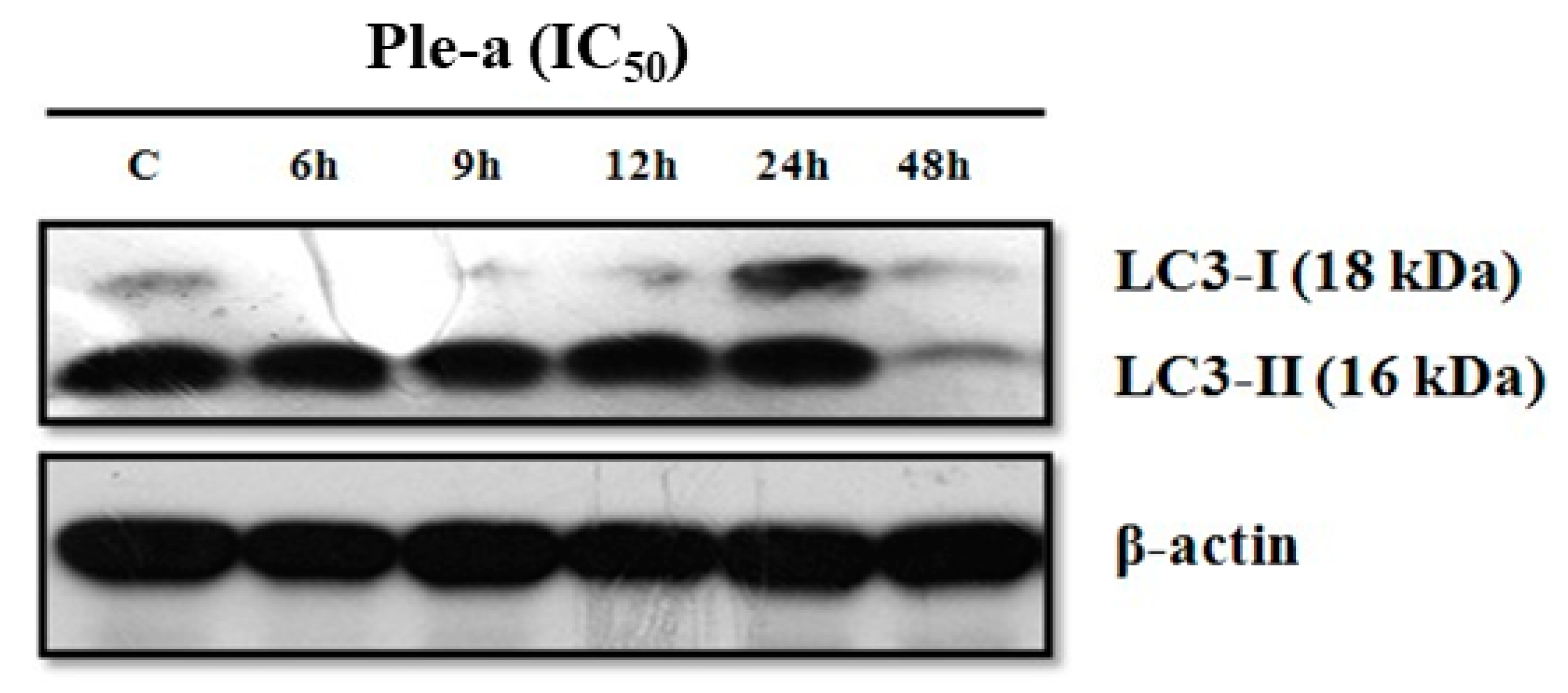 Marinedrugs 20 00519 g006