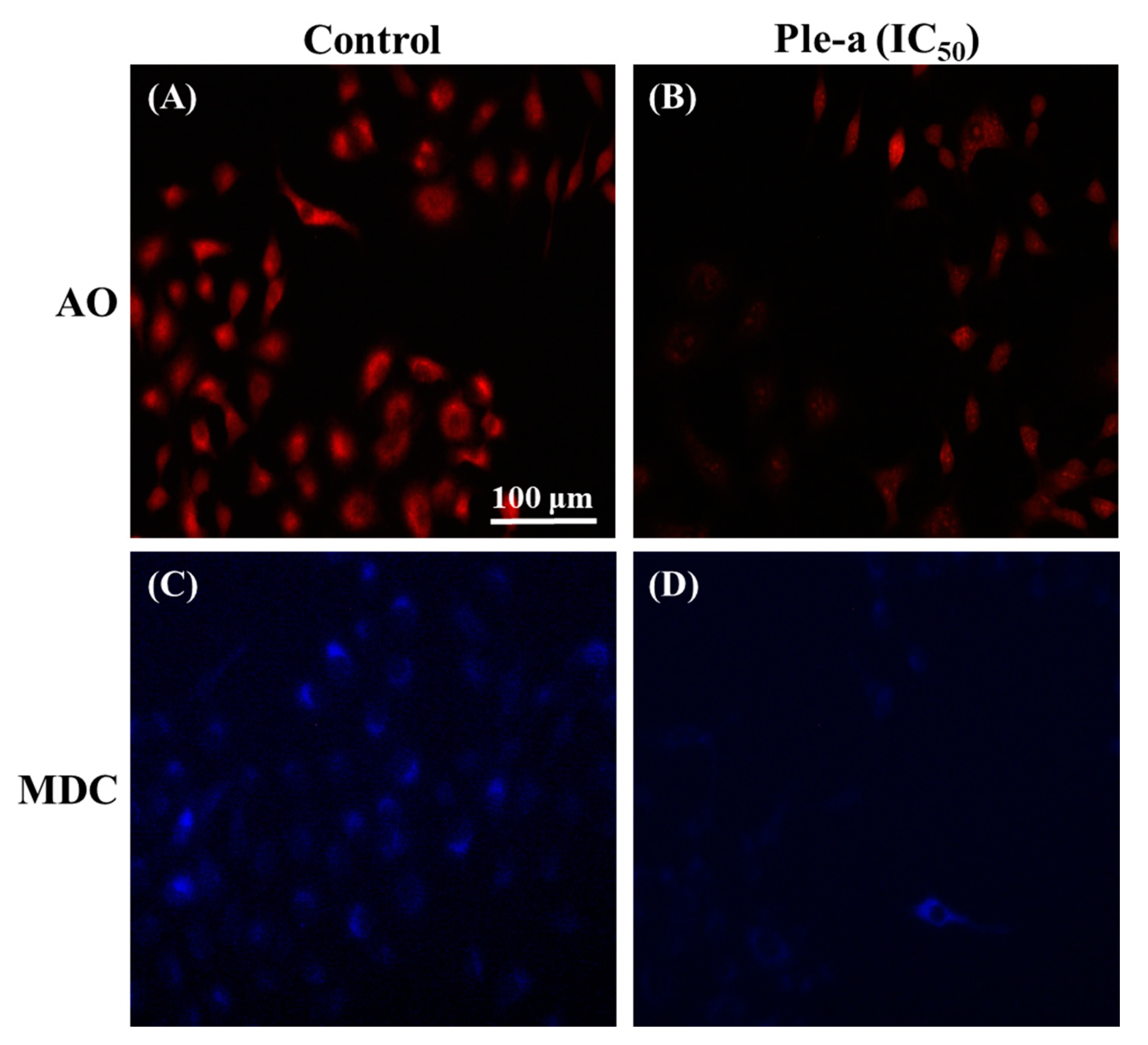 Marinedrugs 20 00519 g008