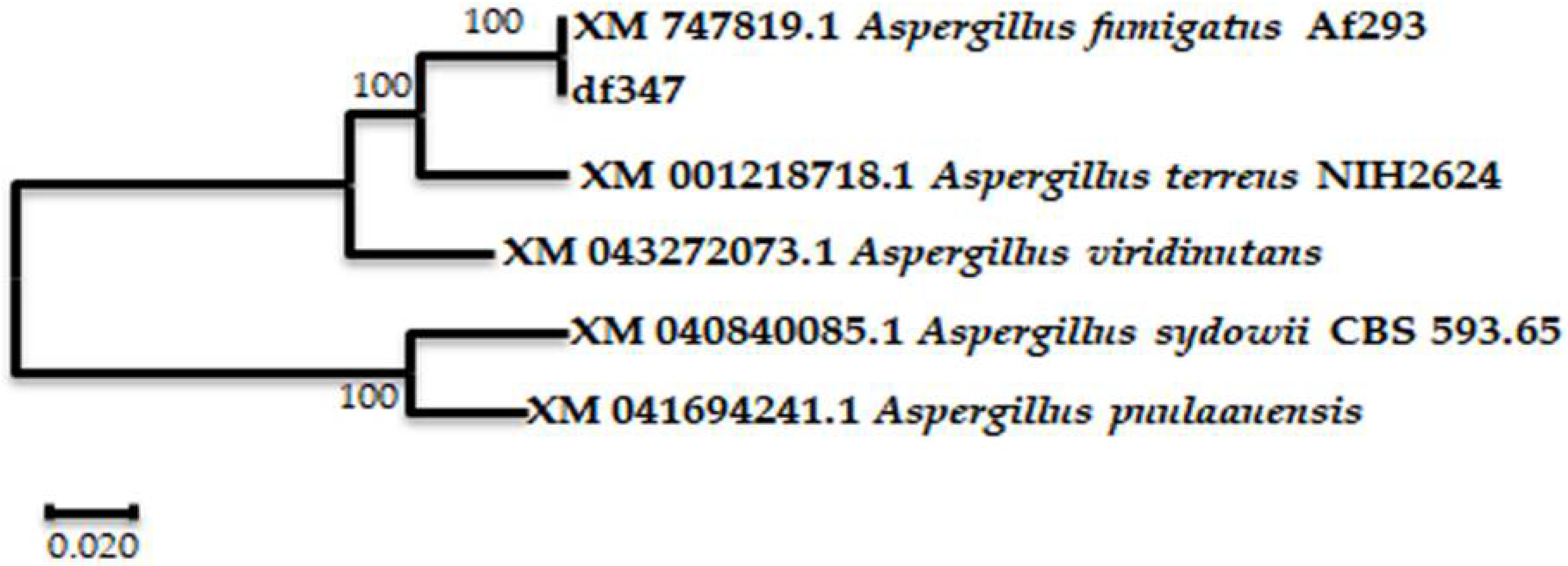 Marinedrugs 20 00520 g001