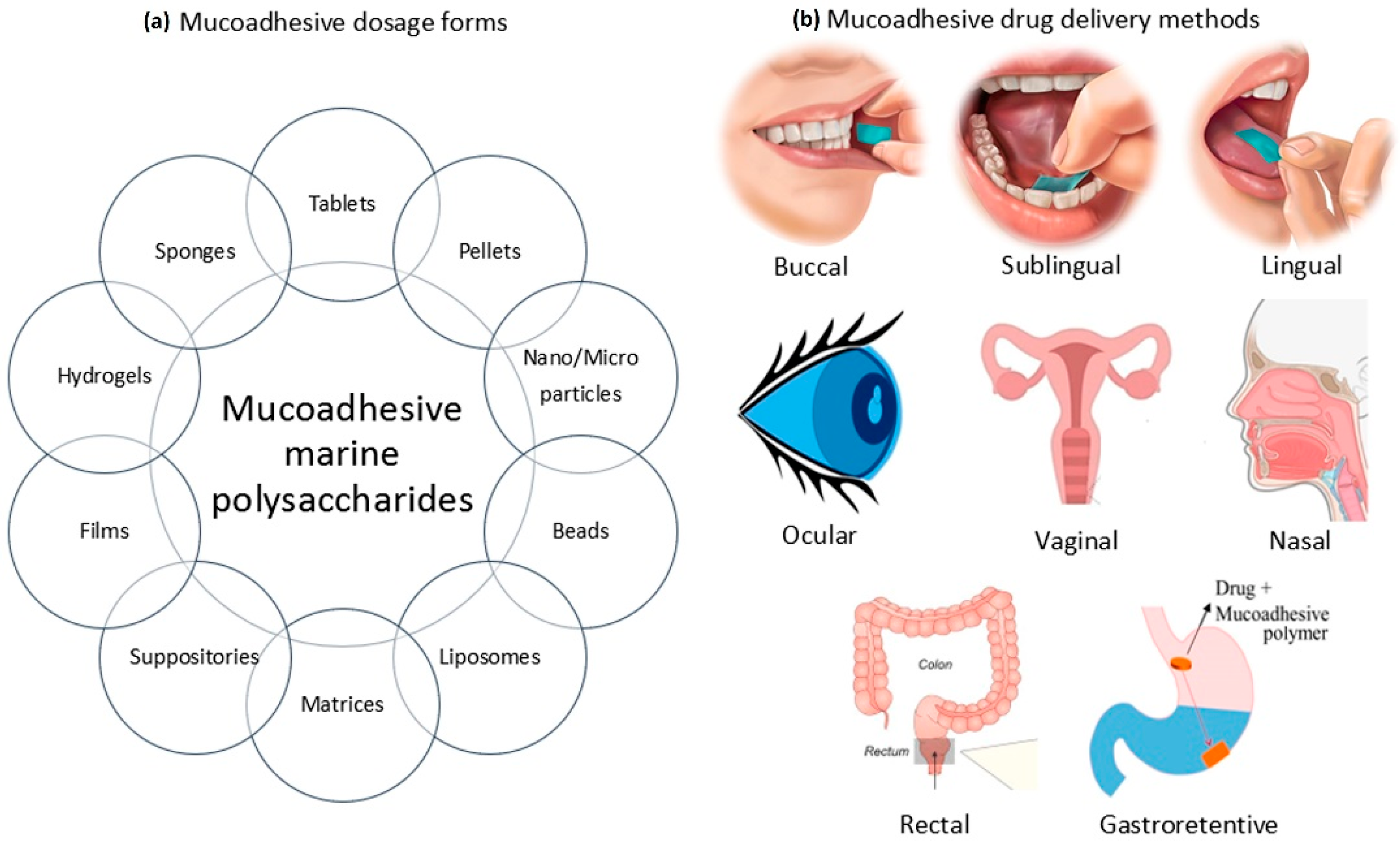 Marinedrugs 20 00522 g001