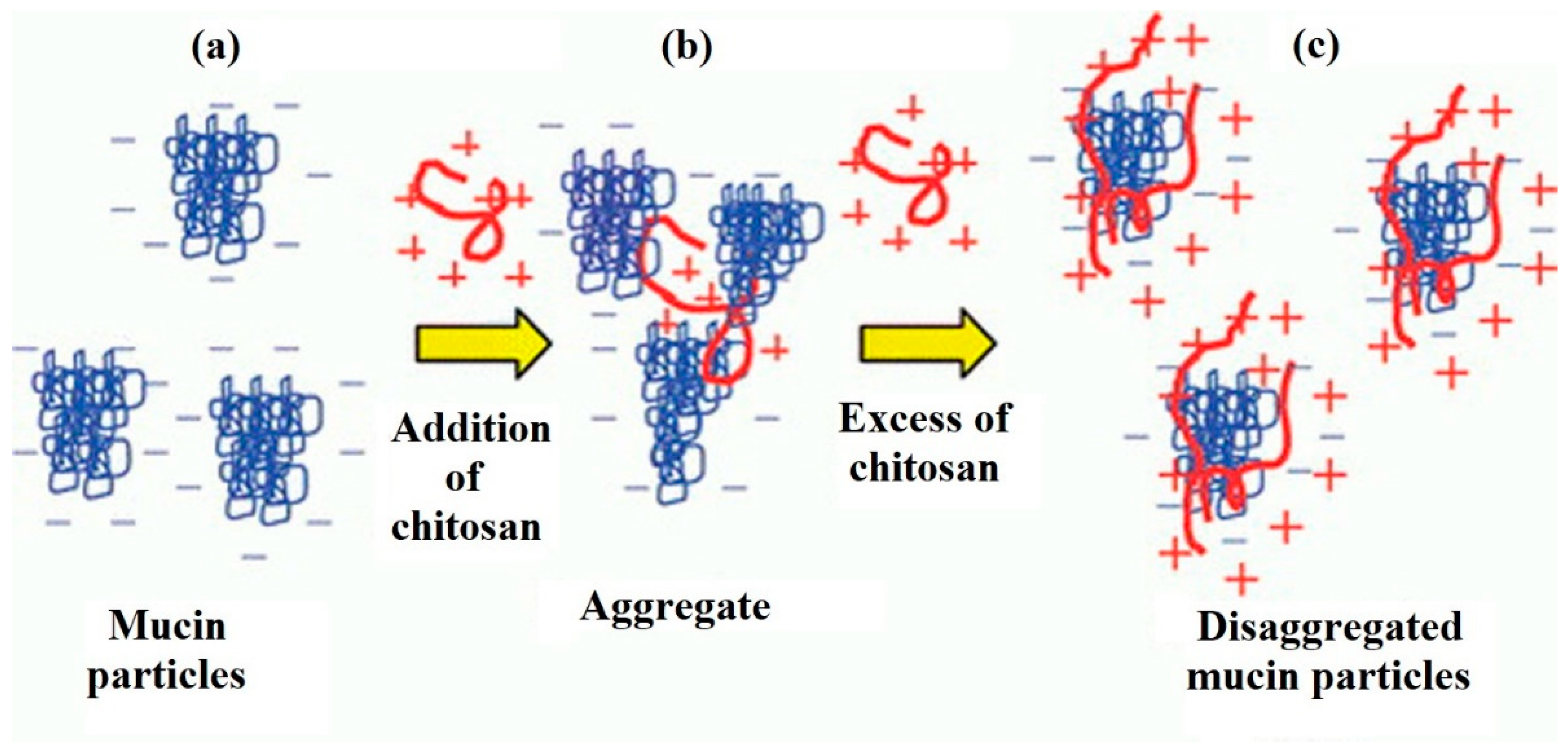 Marinedrugs 20 00522 g003