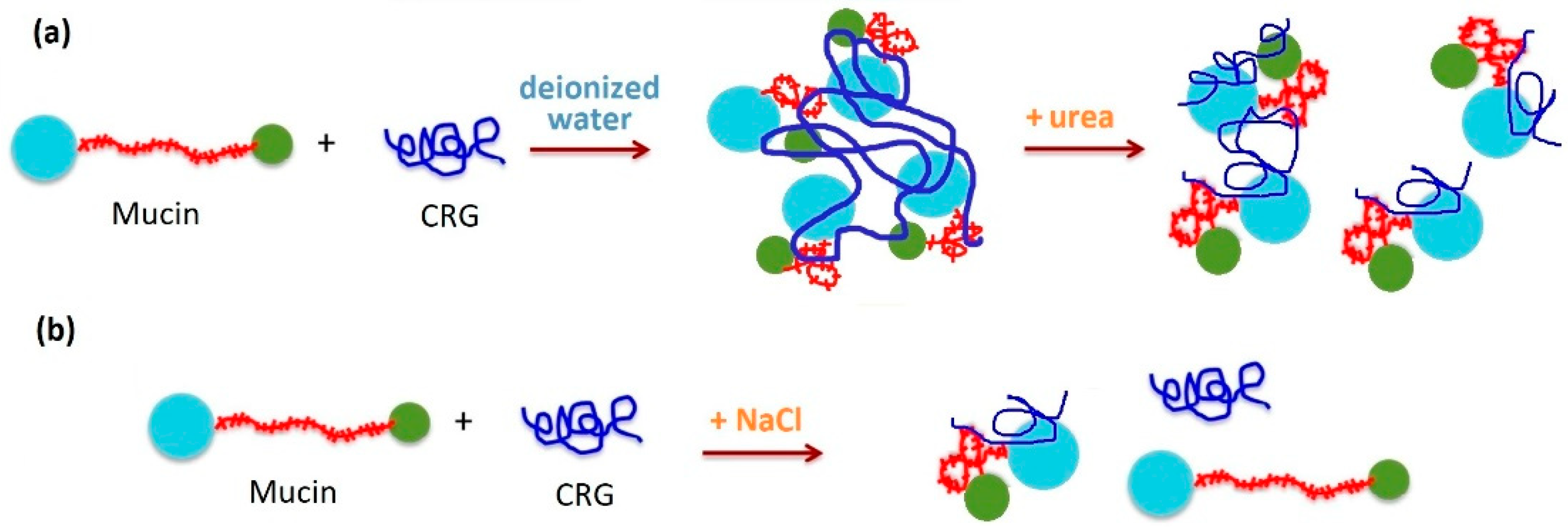 Marinedrugs 20 00522 g006