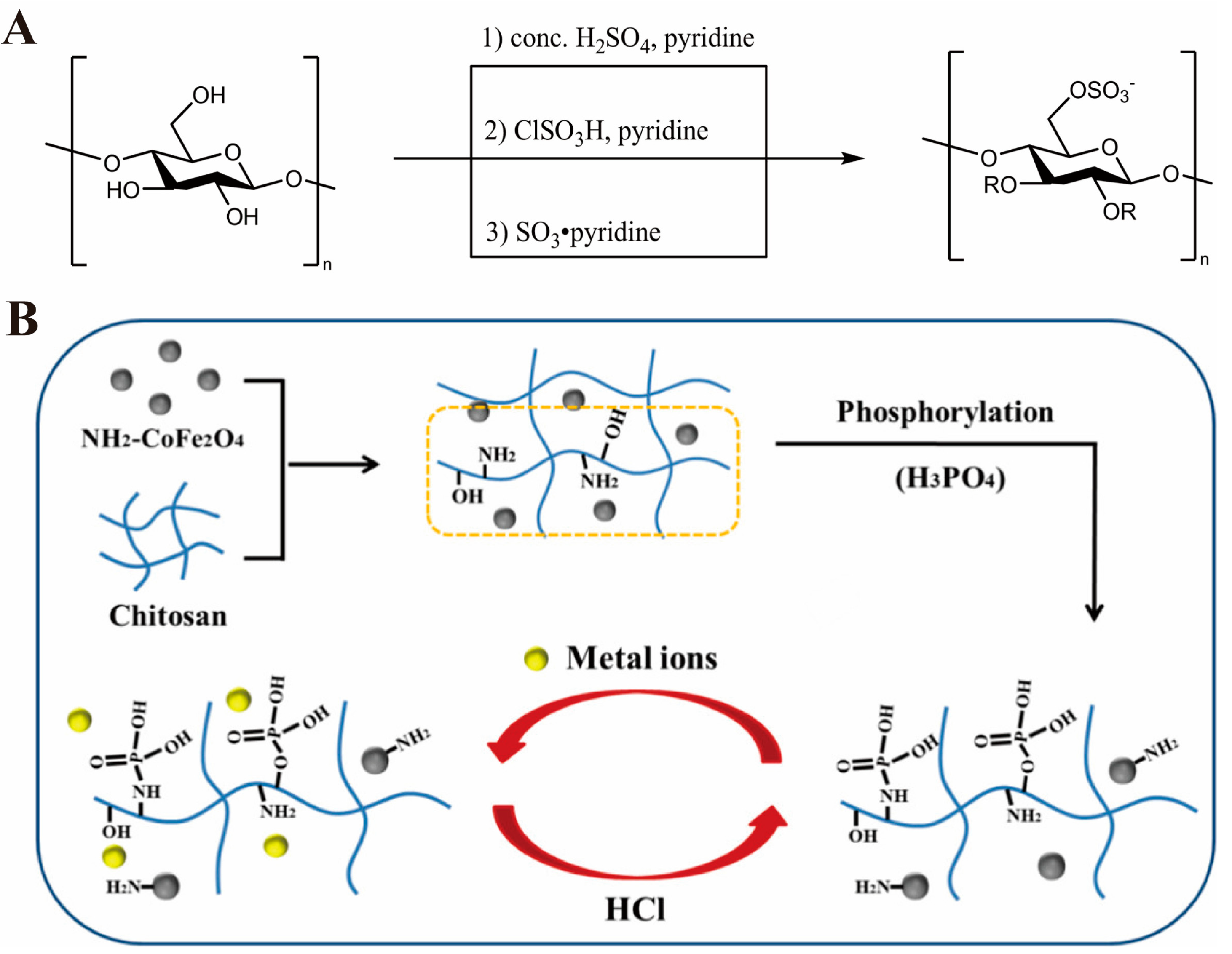 Marinedrugs 20 00536 g004
