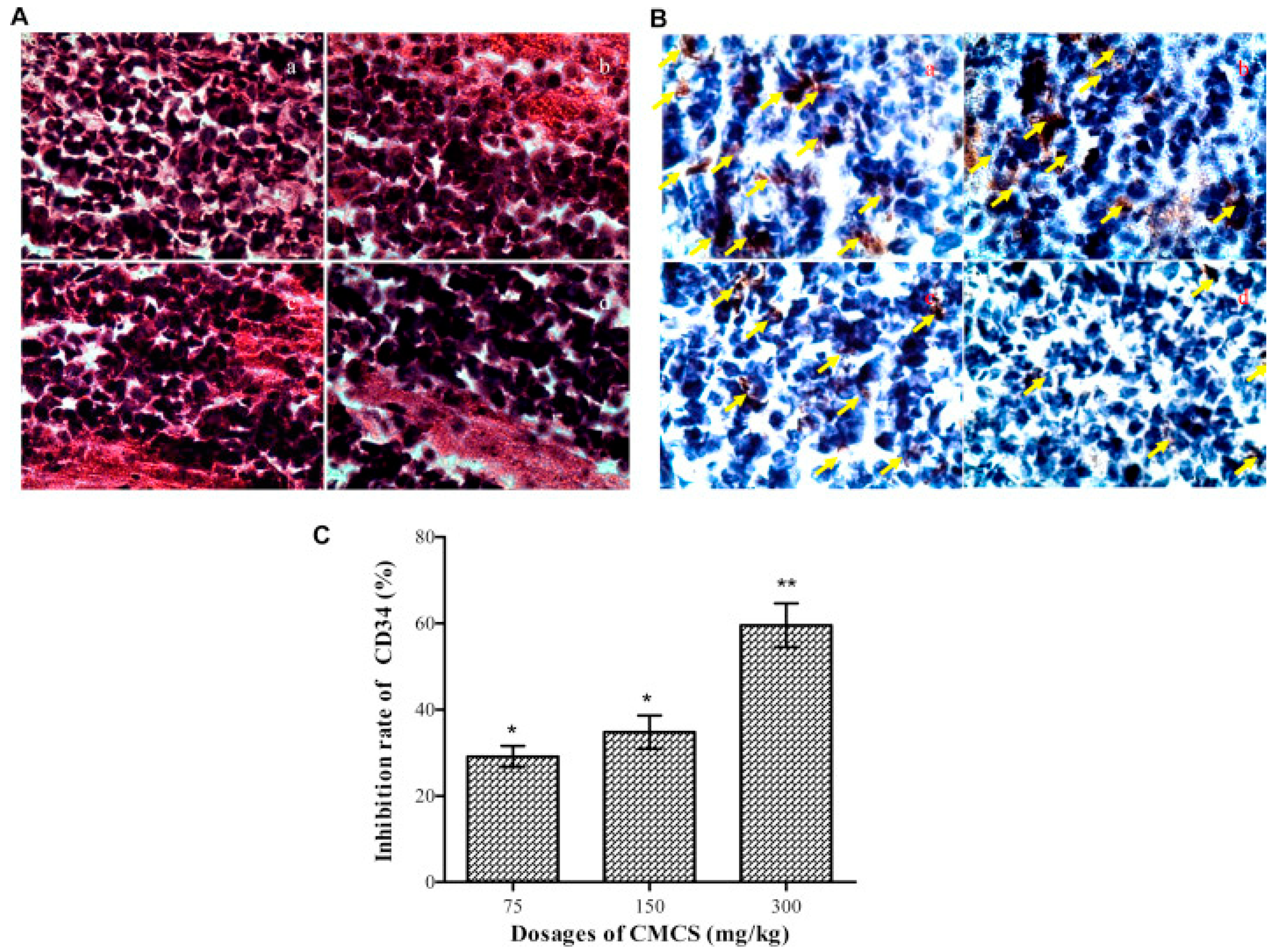 Marinedrugs 20 00536 g009