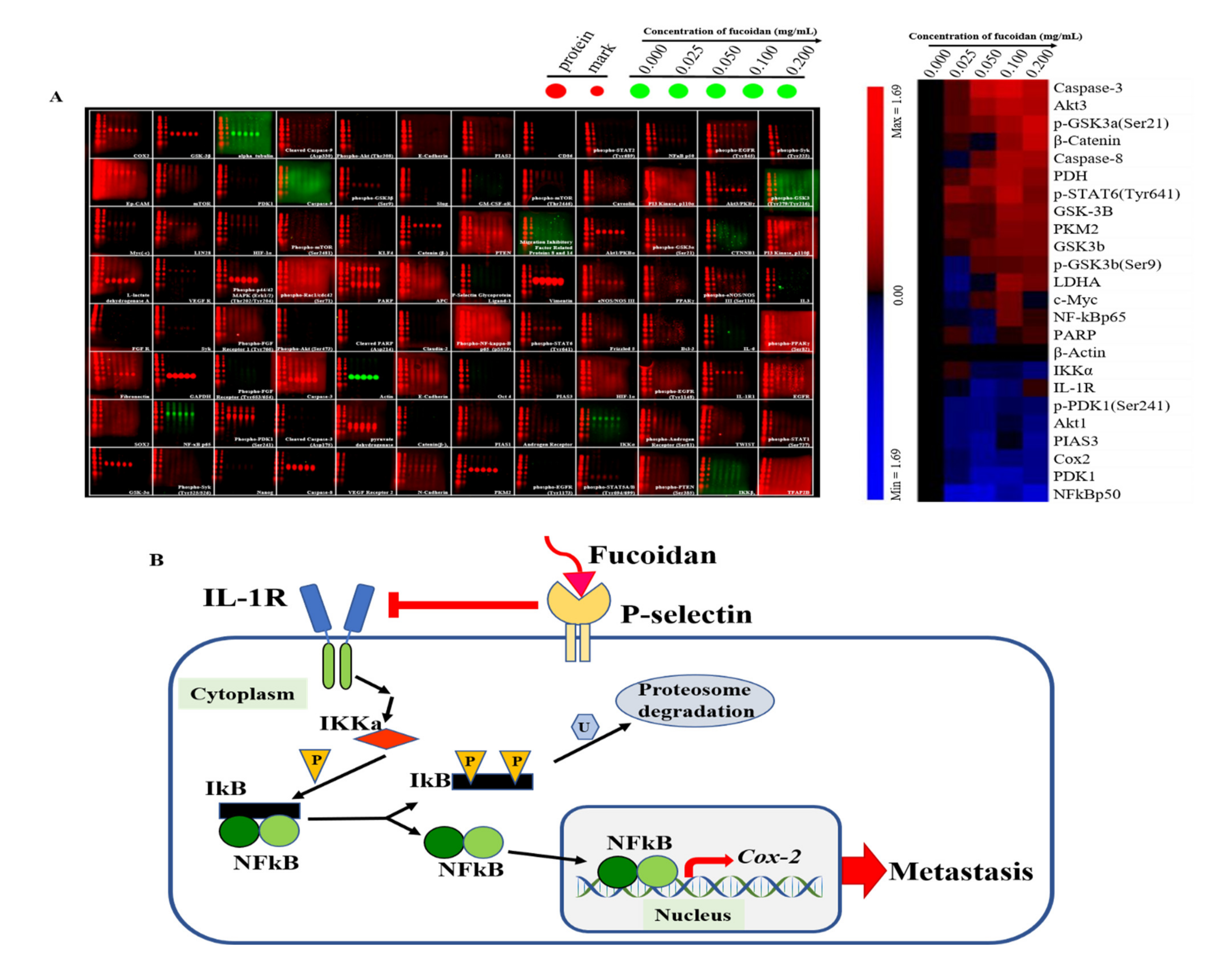 Marinedrugs 20 00542 g005
