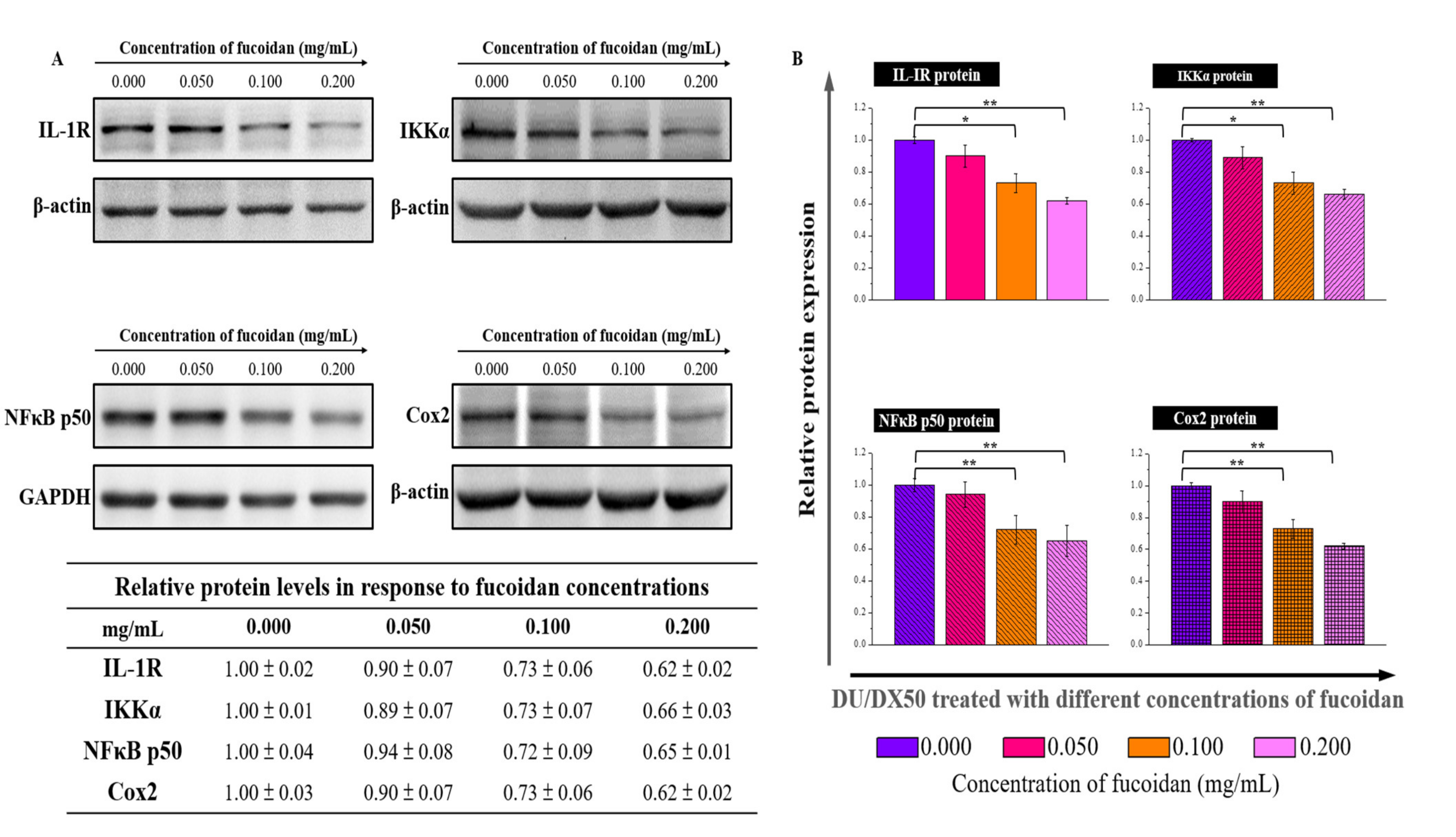 Marinedrugs 20 00542 g006