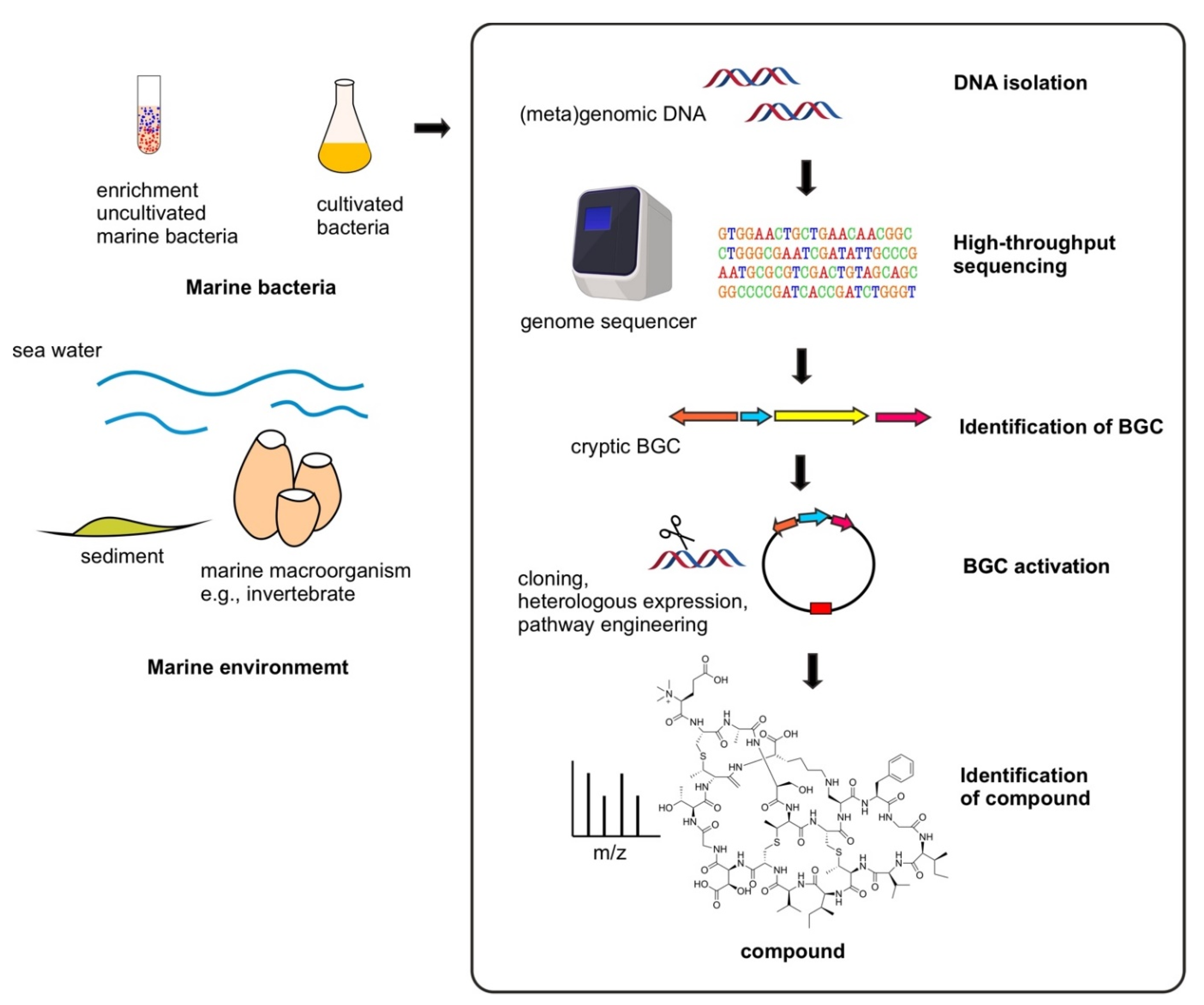 Marinedrugs 20 00544 g001