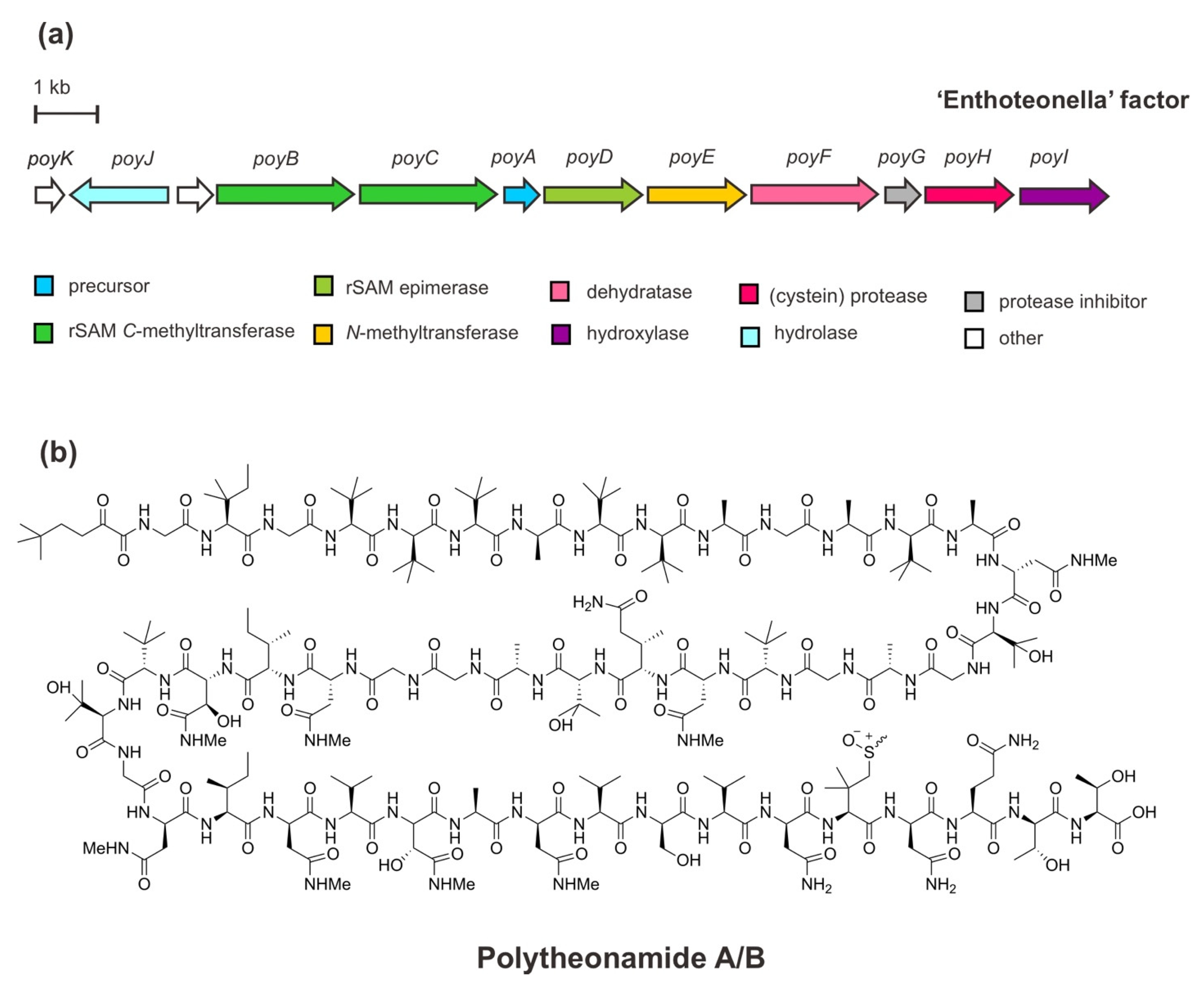 Marinedrugs 20 00544 g003