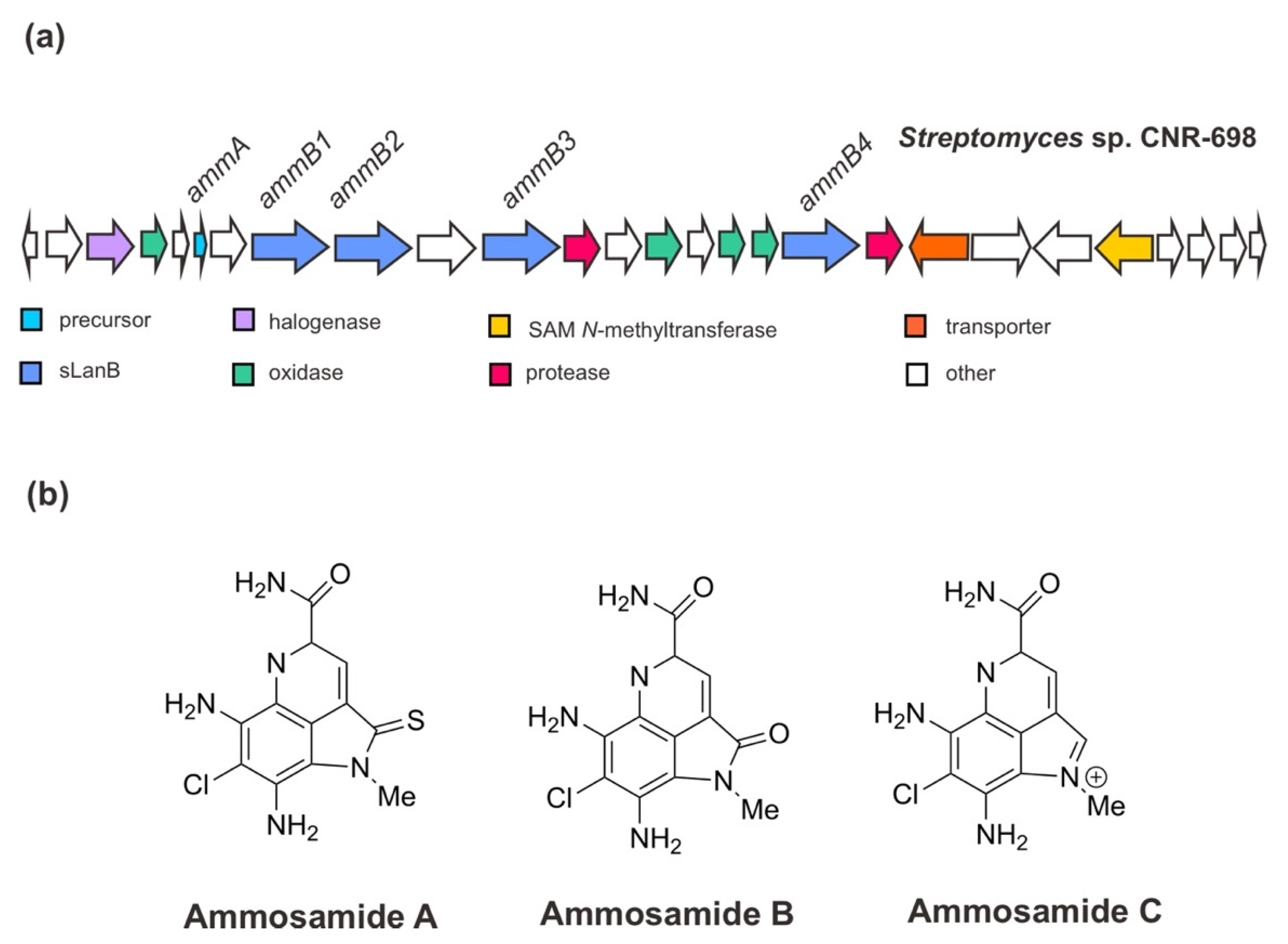 Marinedrugs 20 00544 g004