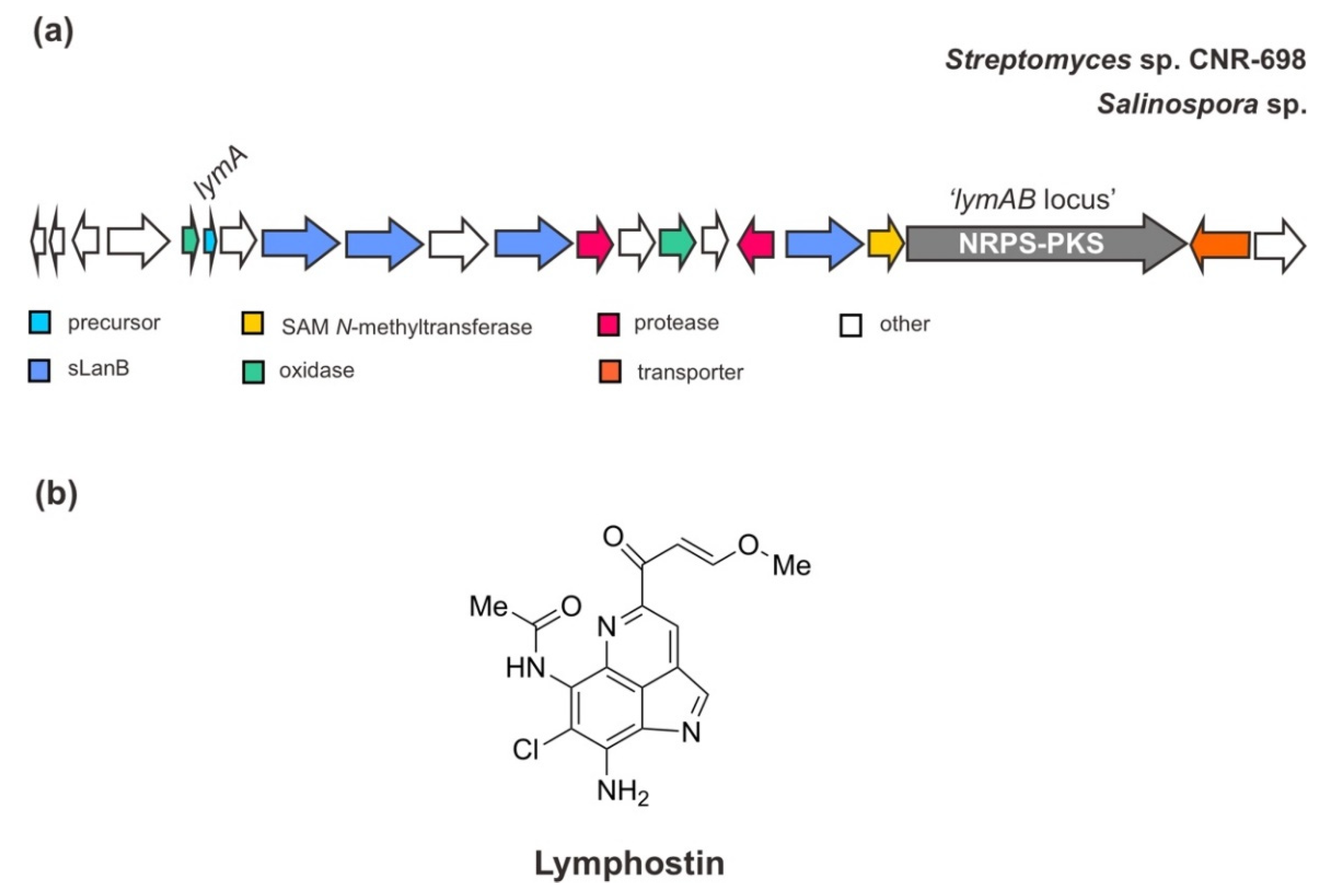 Marinedrugs 20 00544 g005