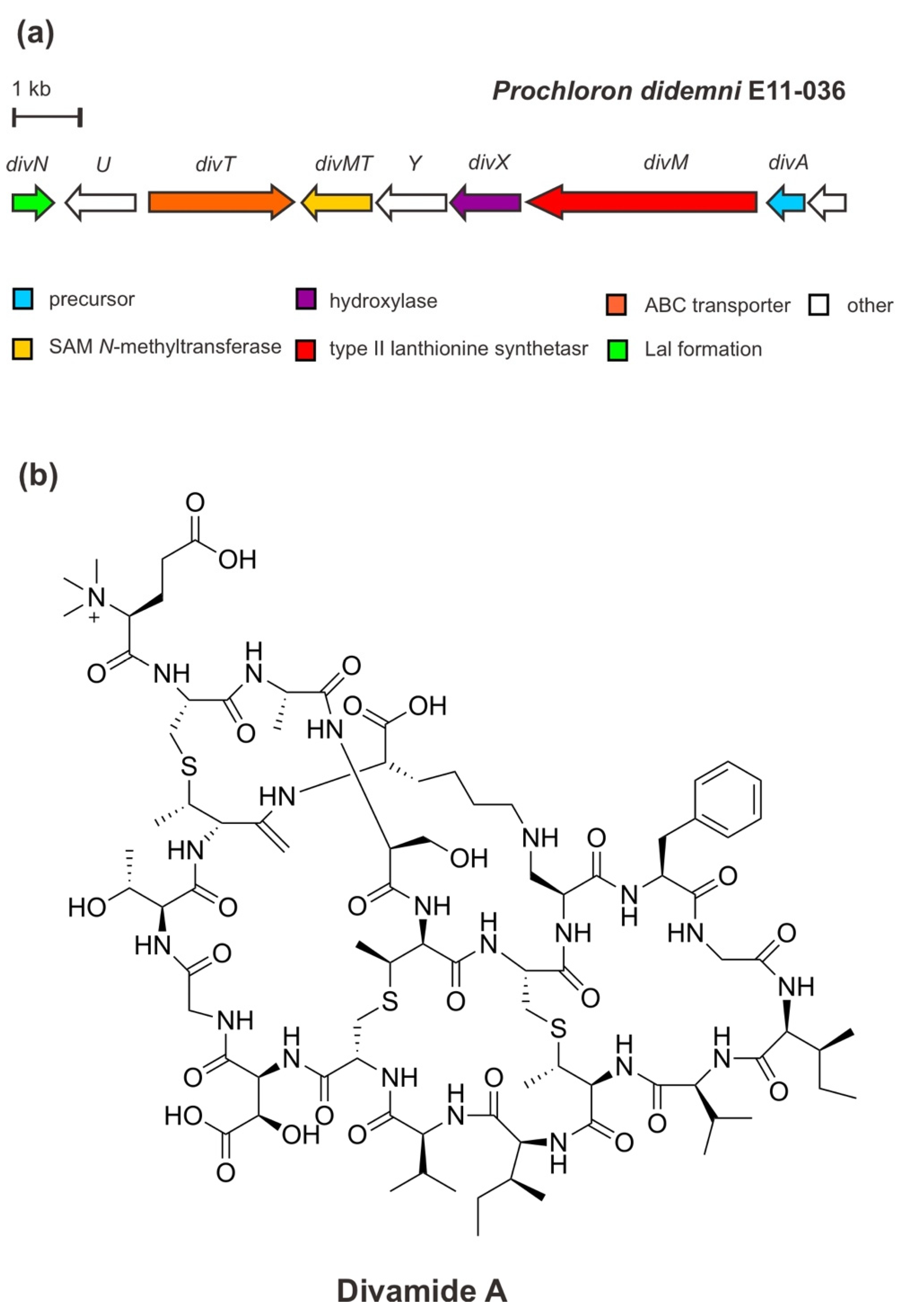 Marinedrugs 20 00544 g006