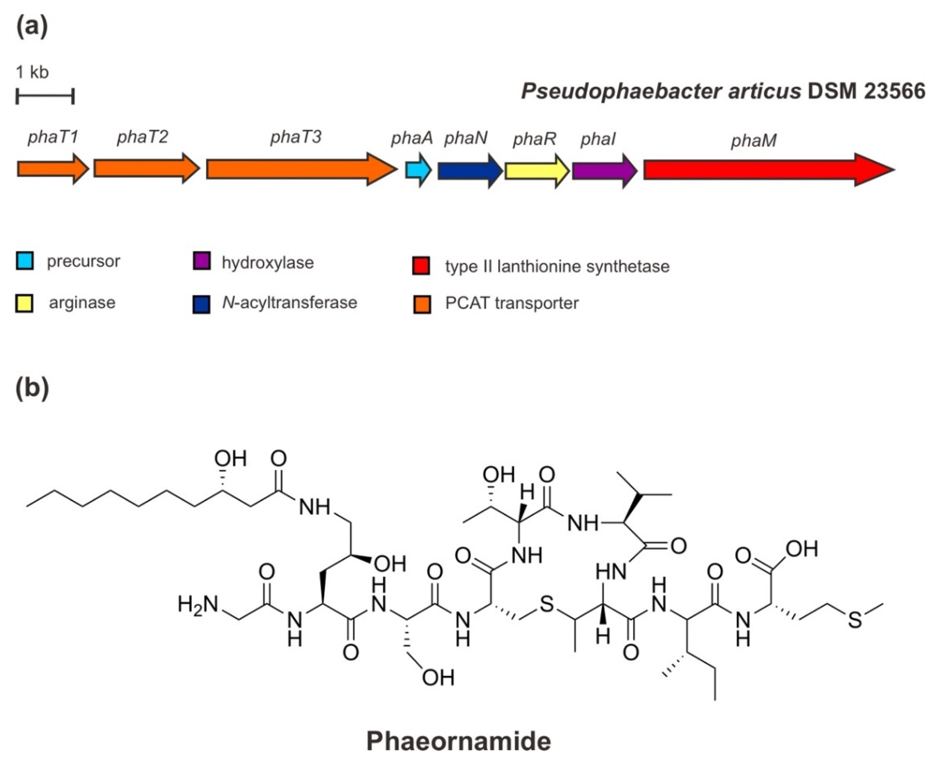 Marinedrugs 20 00544 g007