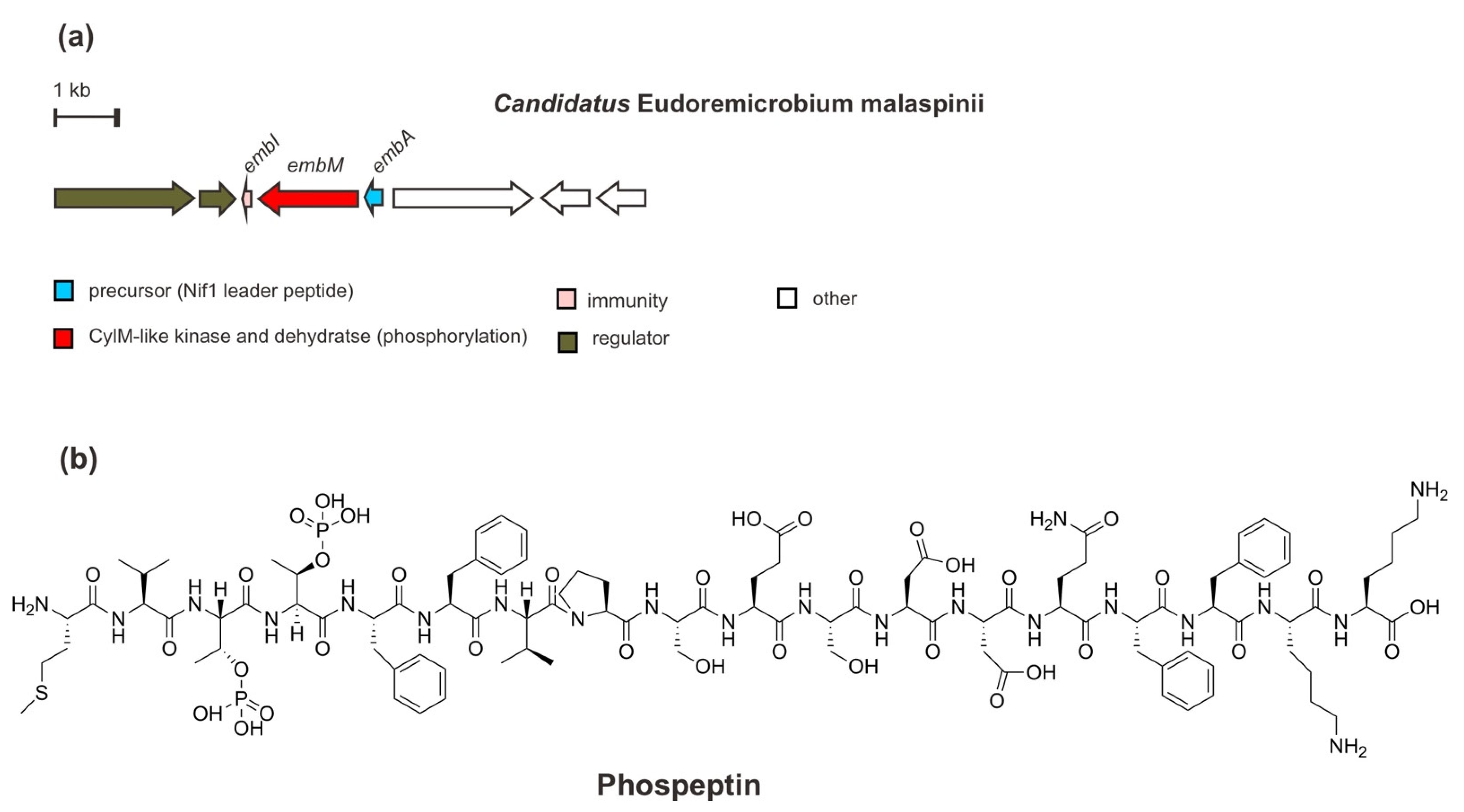 Marinedrugs 20 00544 g008