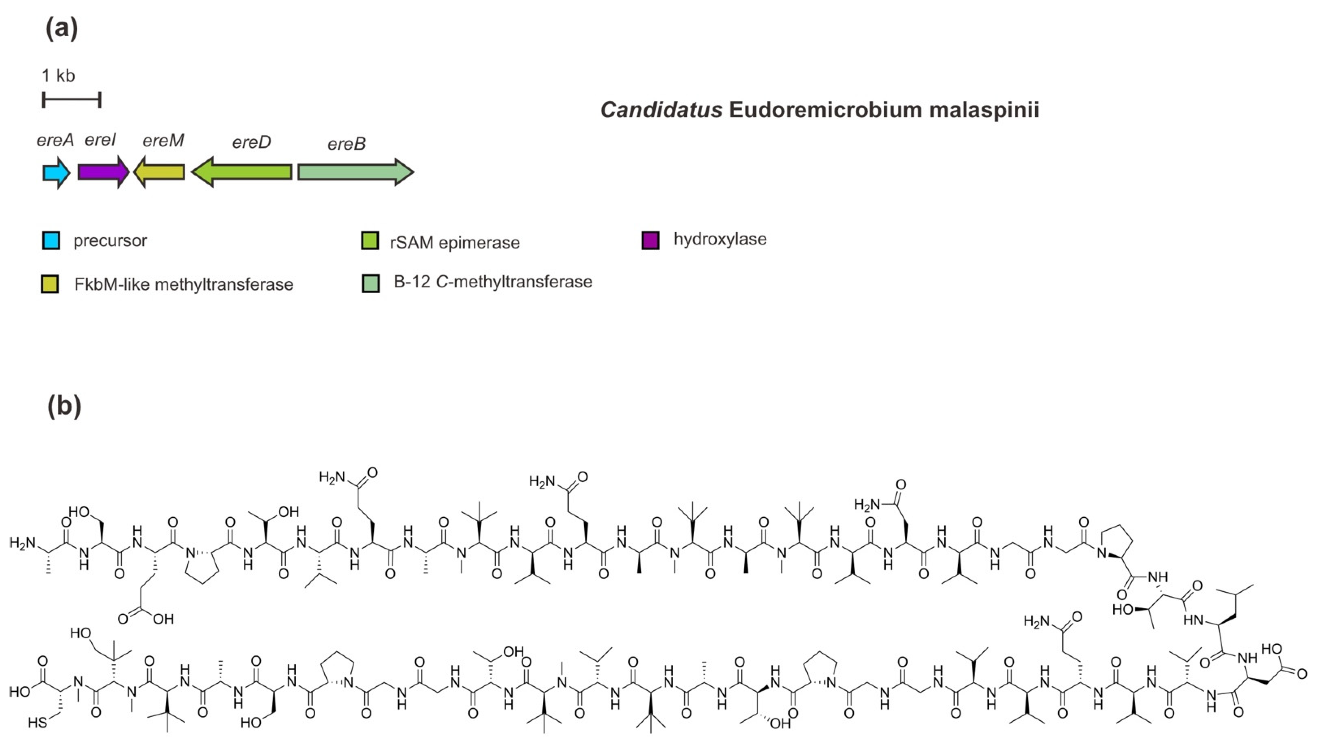 Marinedrugs 20 00544 g009