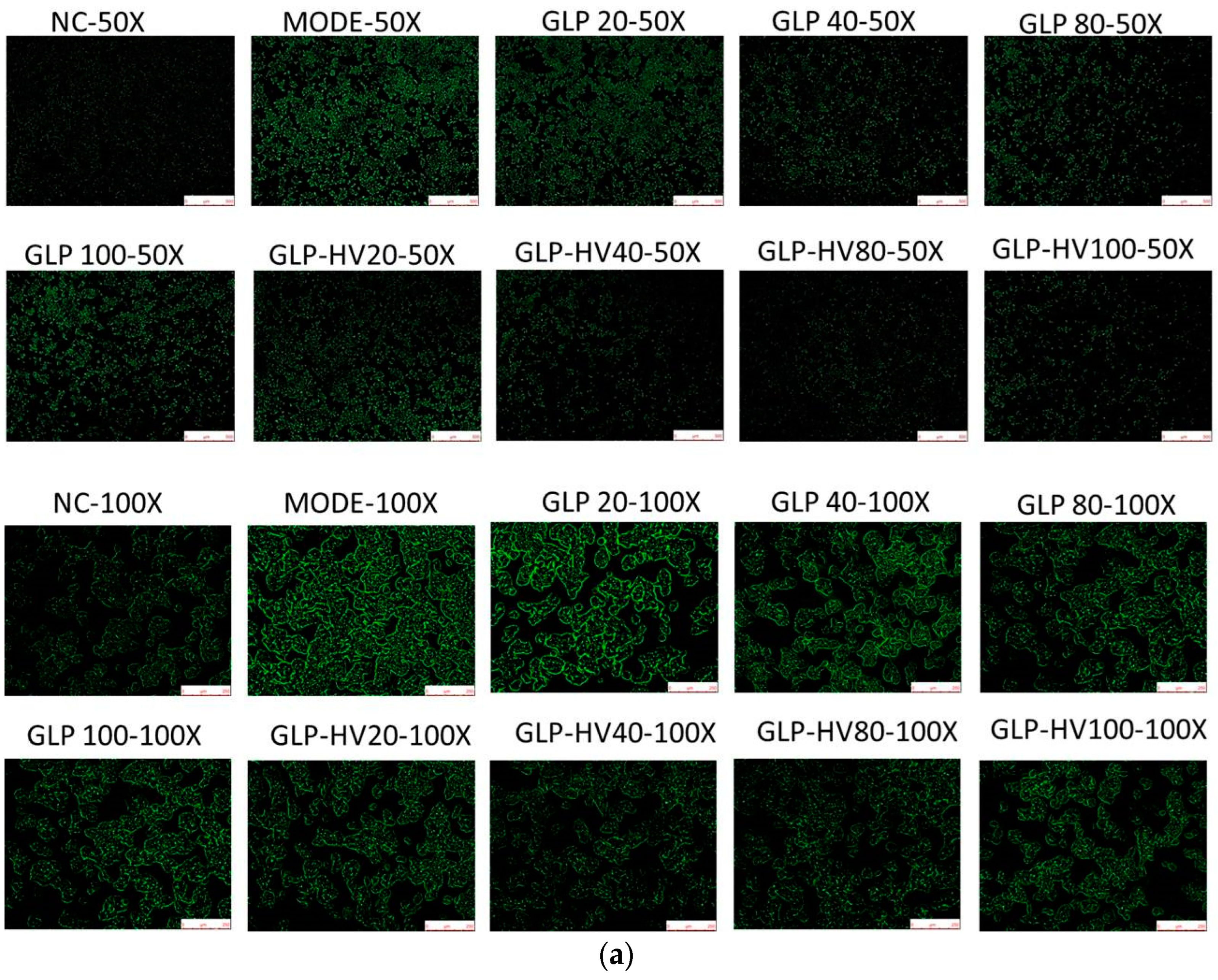 Marinedrugs 20 00545 g004a