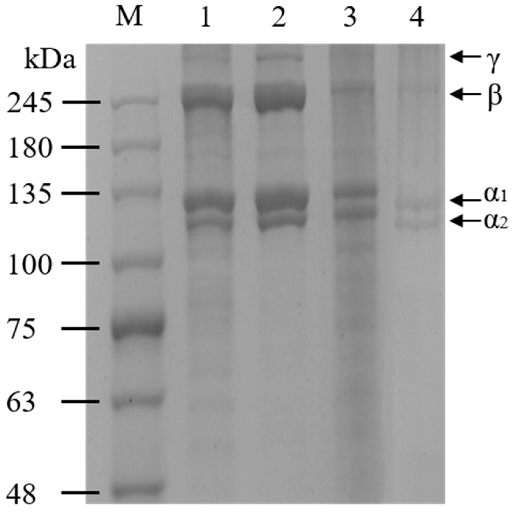 Marinedrugs 20 00550 g002