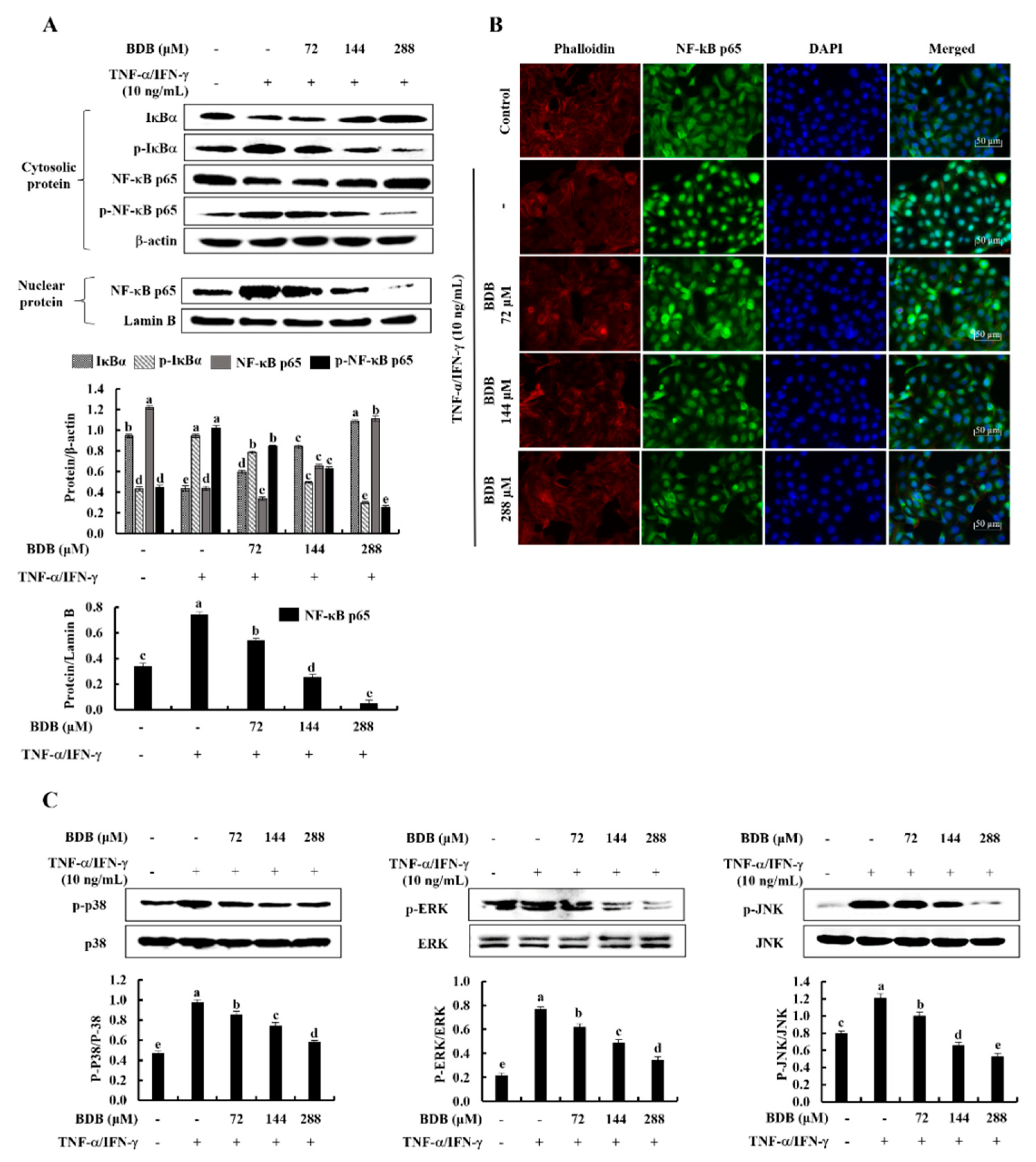 Marinedrugs 20 00563 g003 Marinedrugs 20 00563 g003