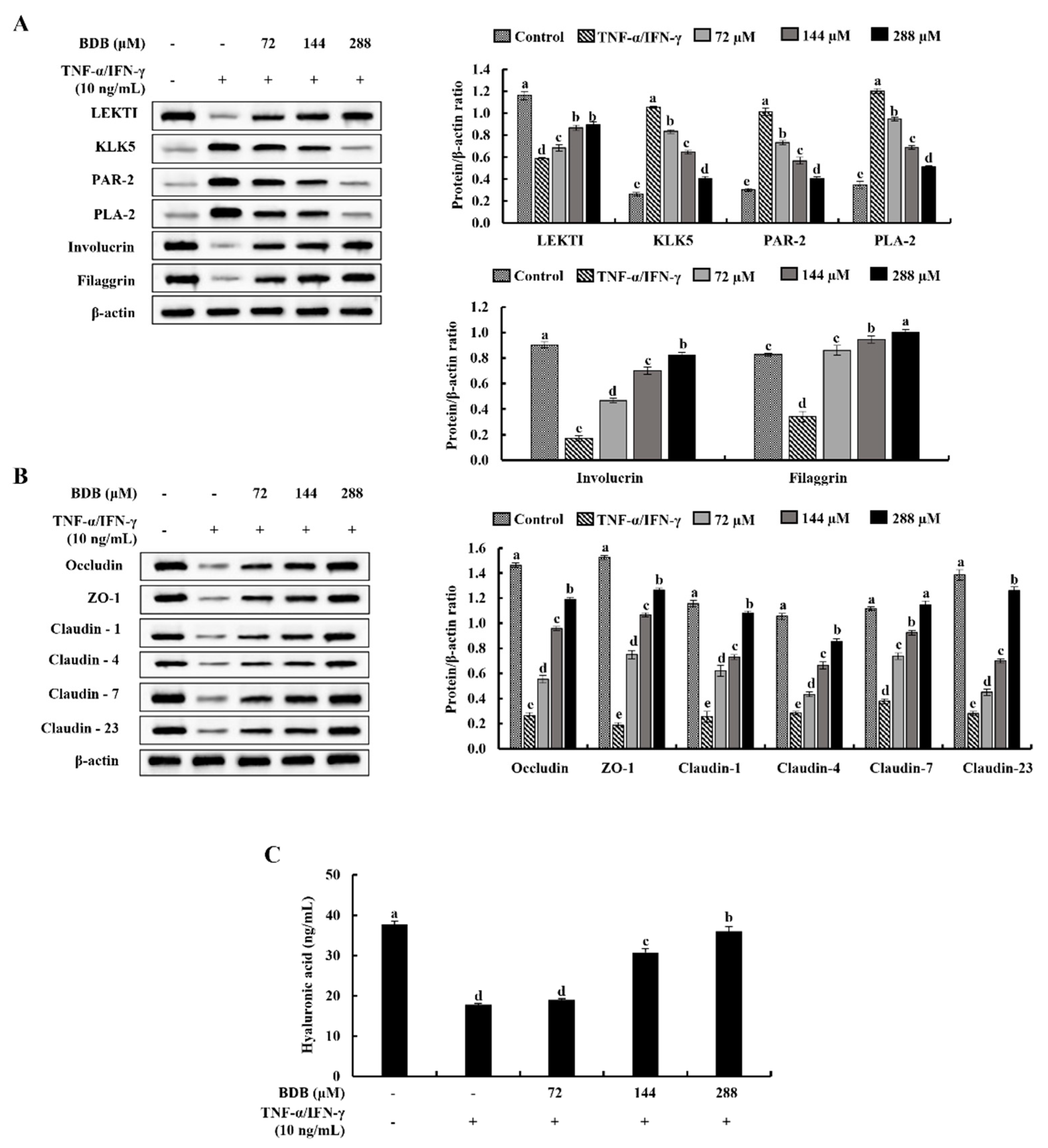Marinedrugs 20 00563 g005 Marinedrugs 20 00563 g005