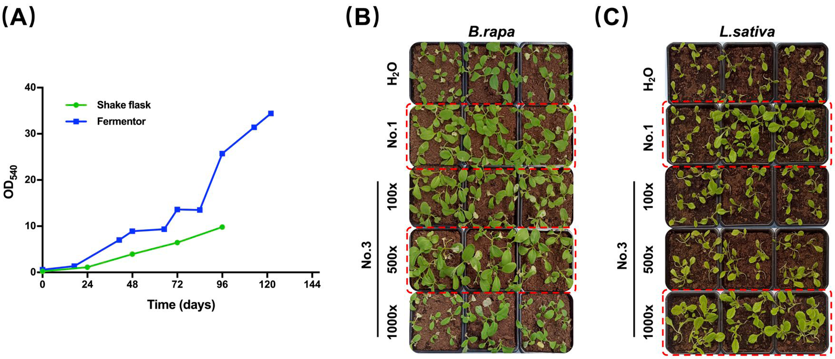 Marinedrugs 20 00569 g004