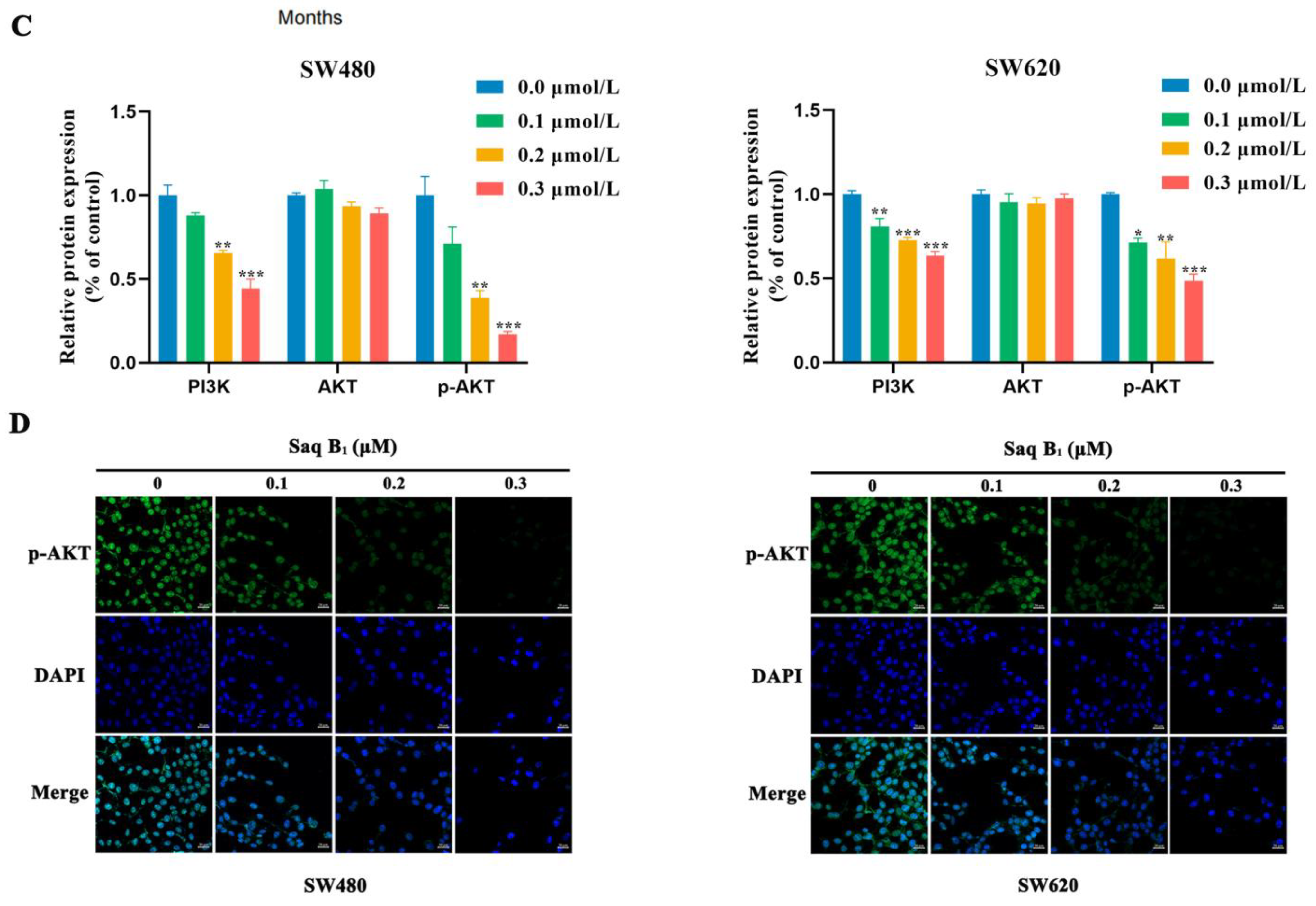 Marinedrugs 20 00570 g003b