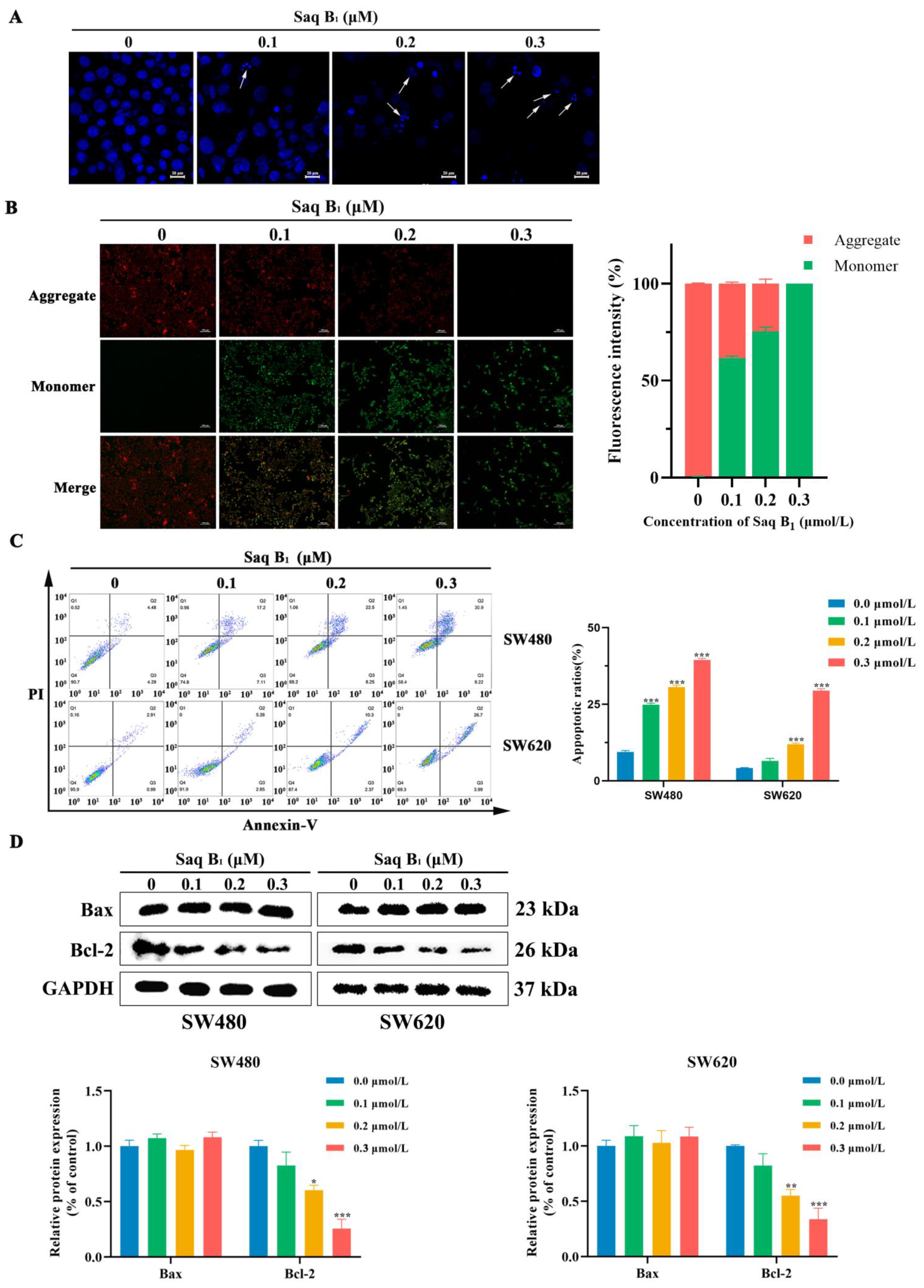 Marinedrugs 20 00570 g005