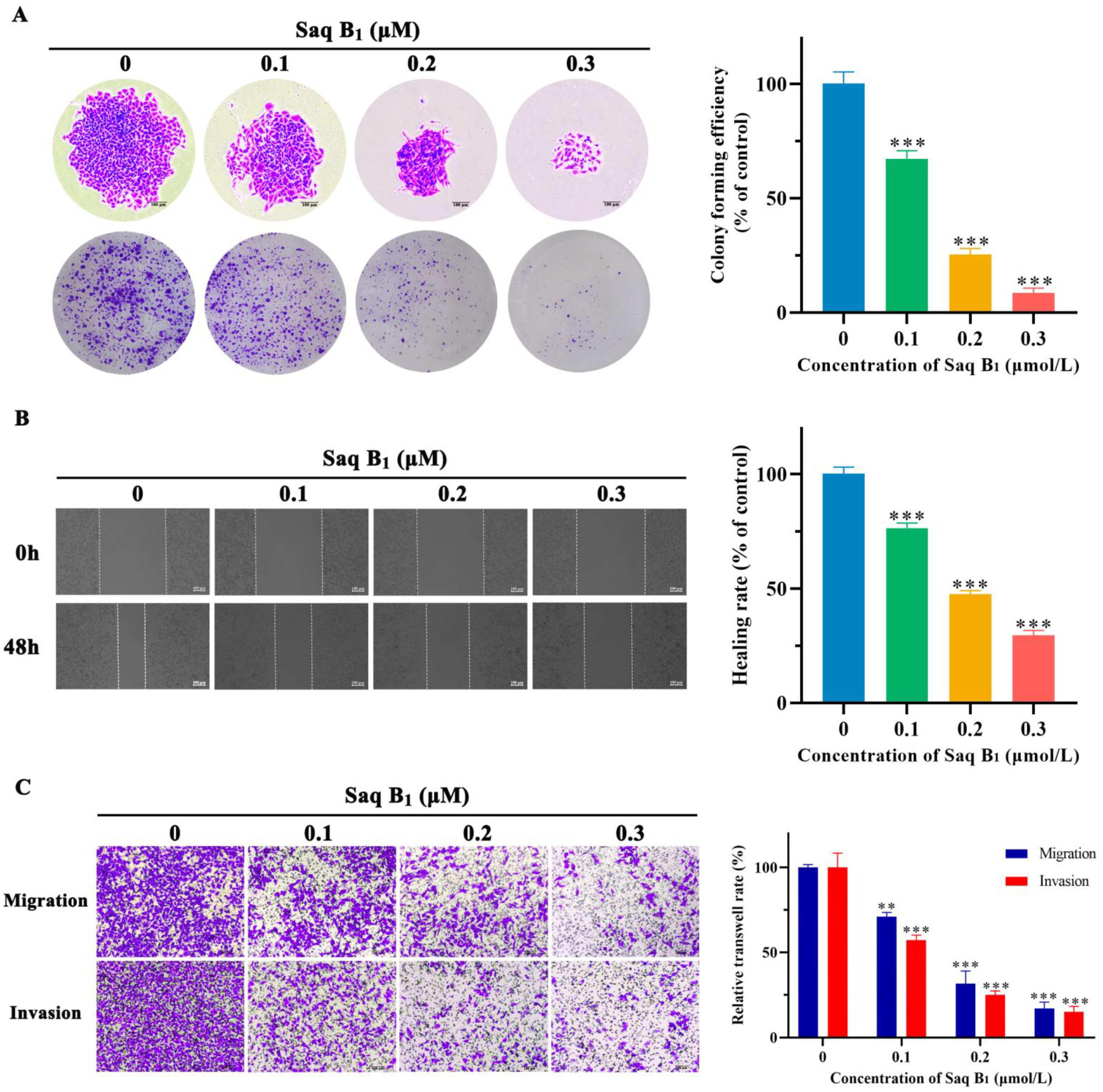 Marinedrugs 20 00570 g006