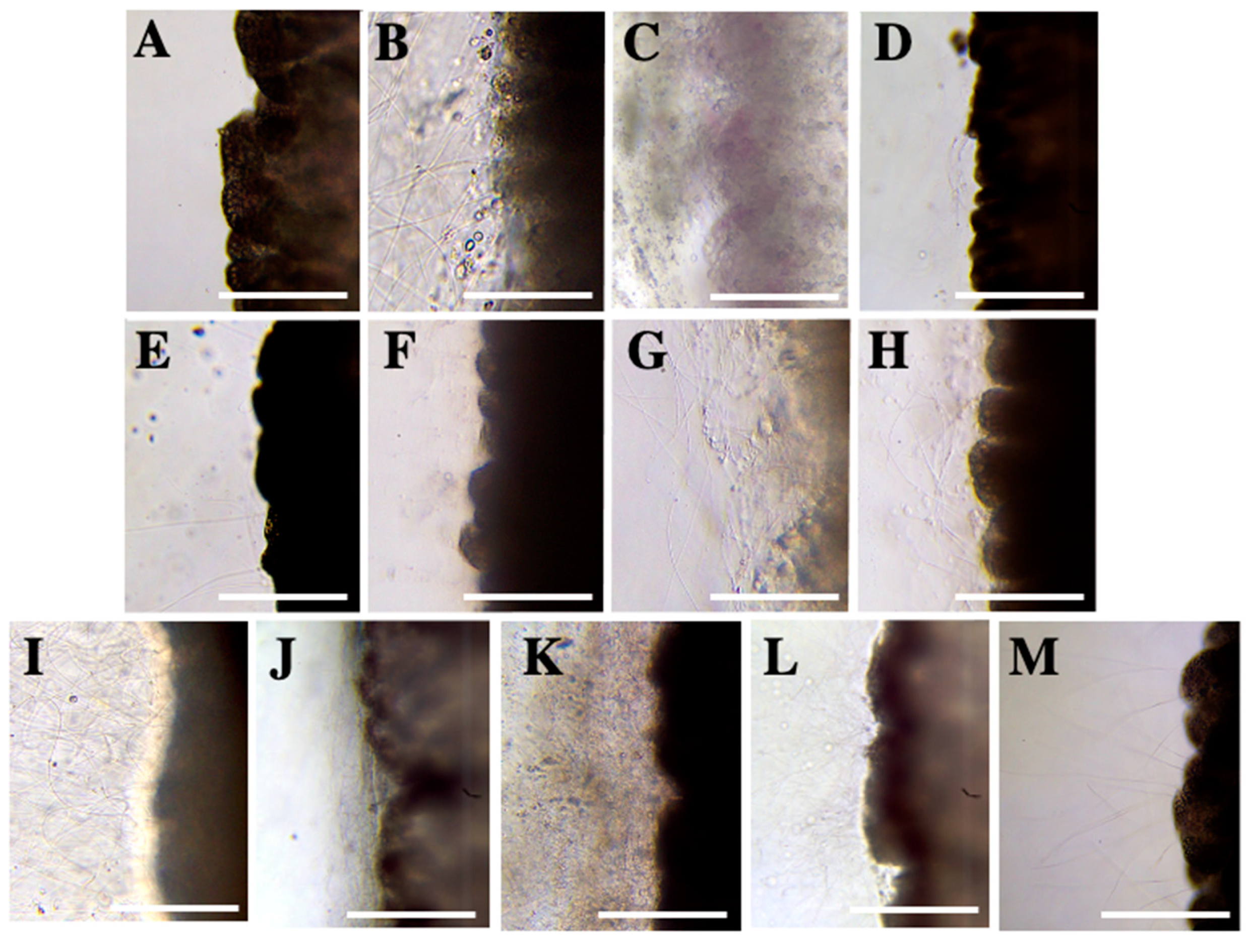 Marinedrugs 20 00571 g001