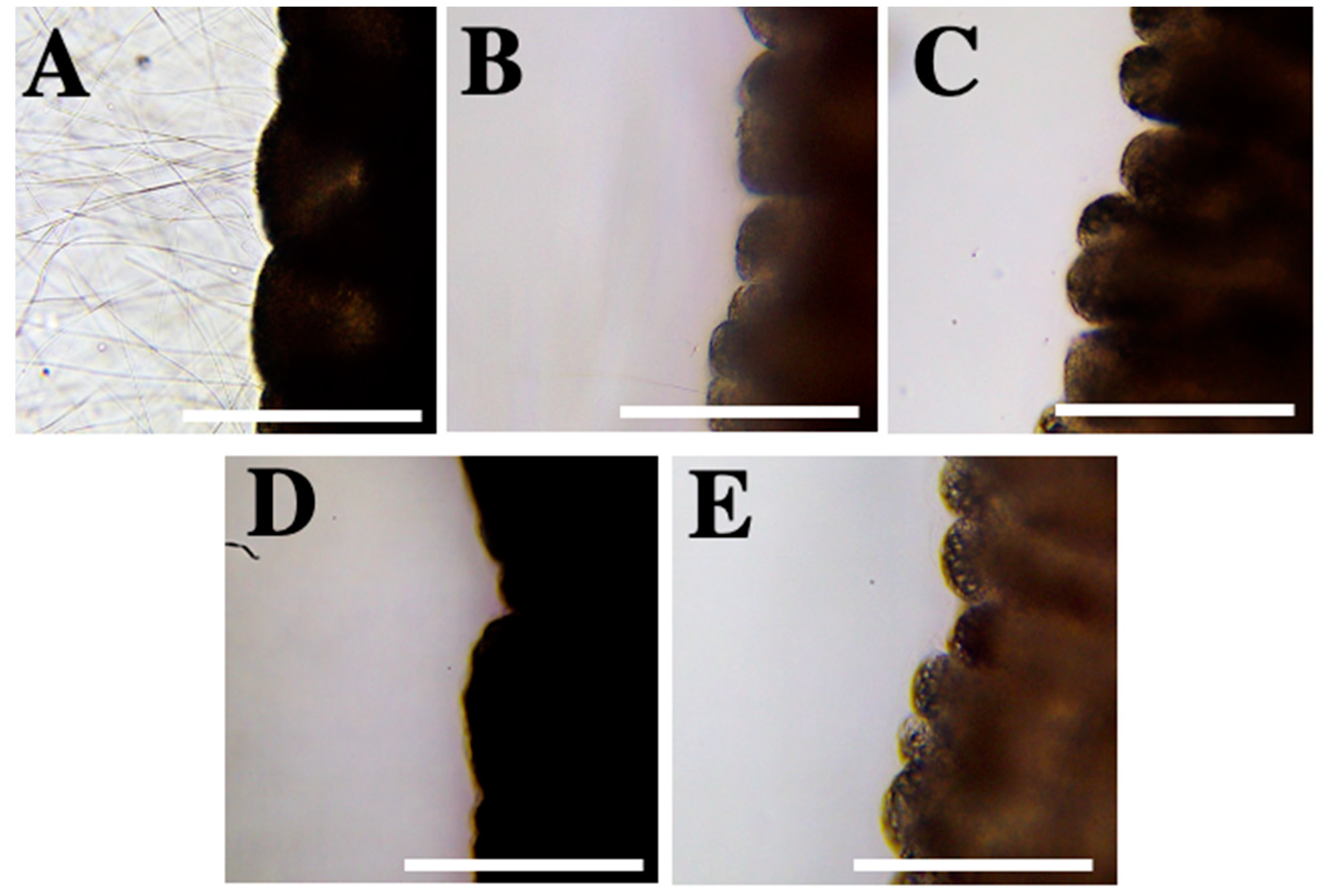 Marinedrugs 20 00571 g002