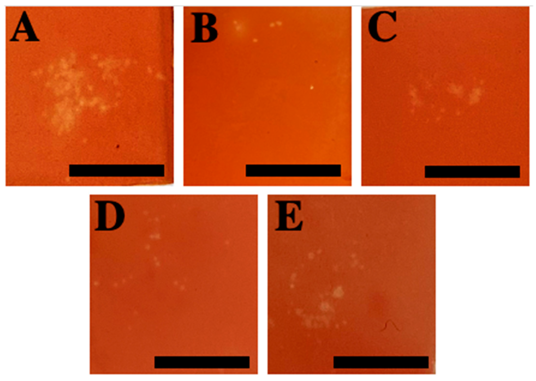 Marinedrugs 20 00571 g004