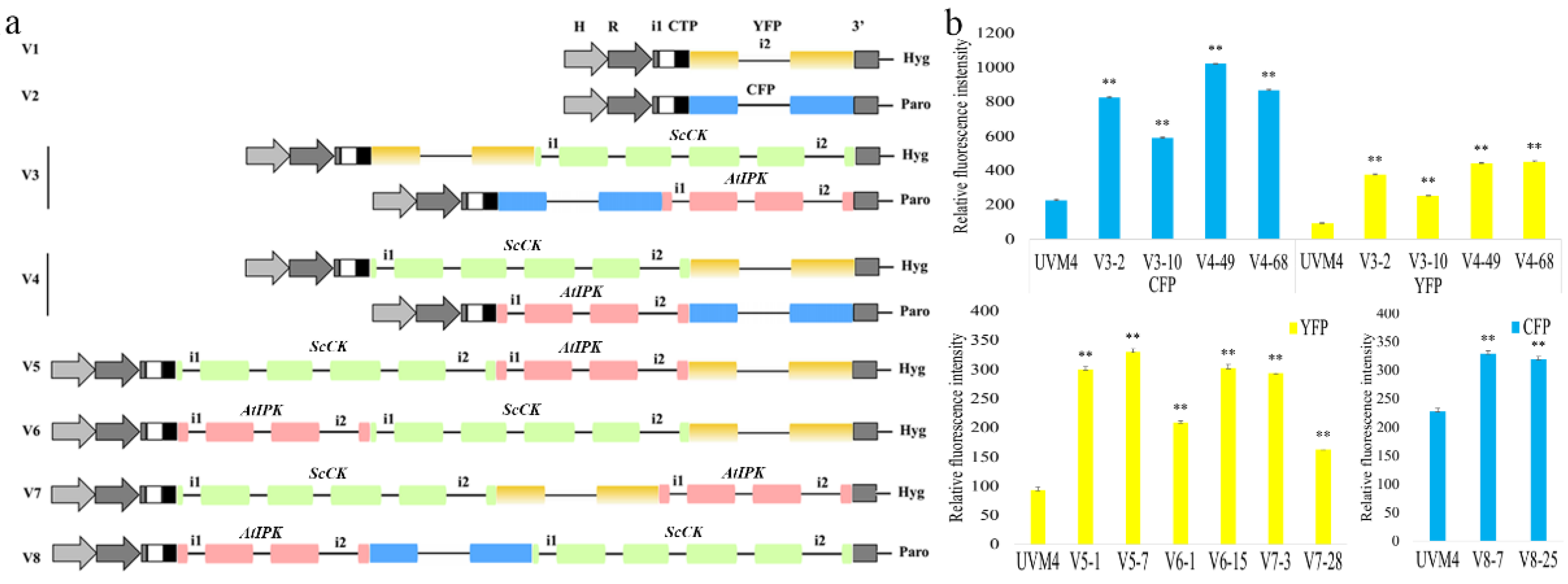 Marinedrugs 20 00577 g002